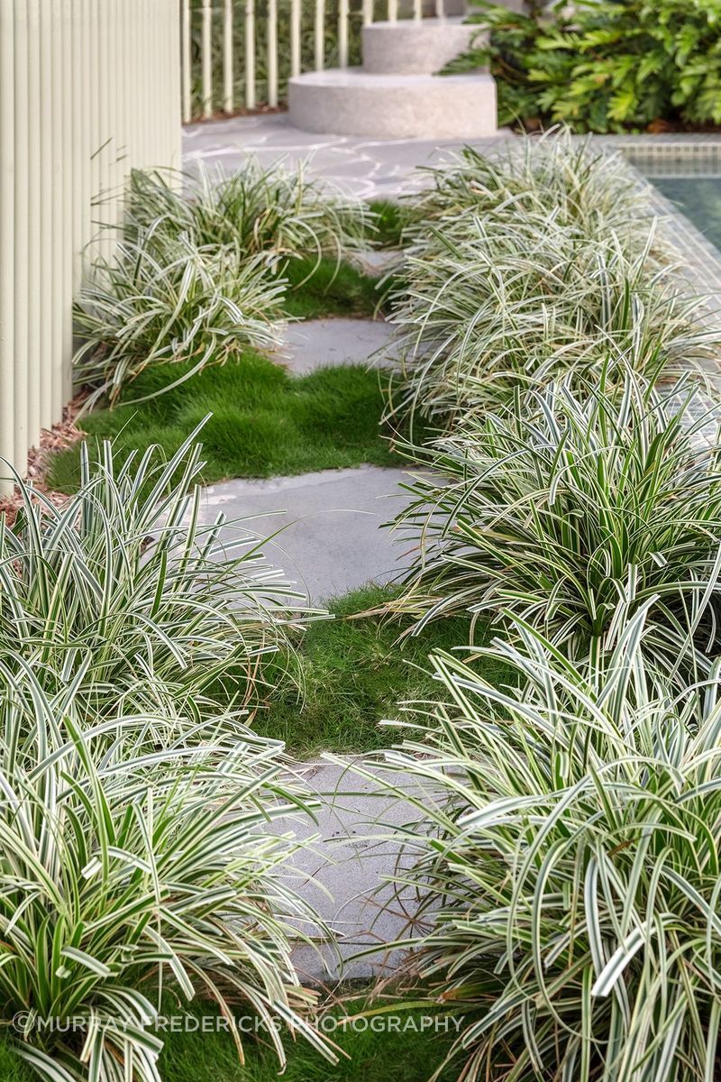 MLF24WallessTotorosPool00302RN-Edit-Fix-Zoysia.jpg