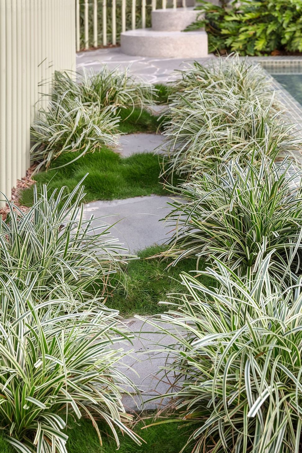 MLF24WallessTotorosPool00302RN-Edit-Fix-Zoysia.jpg