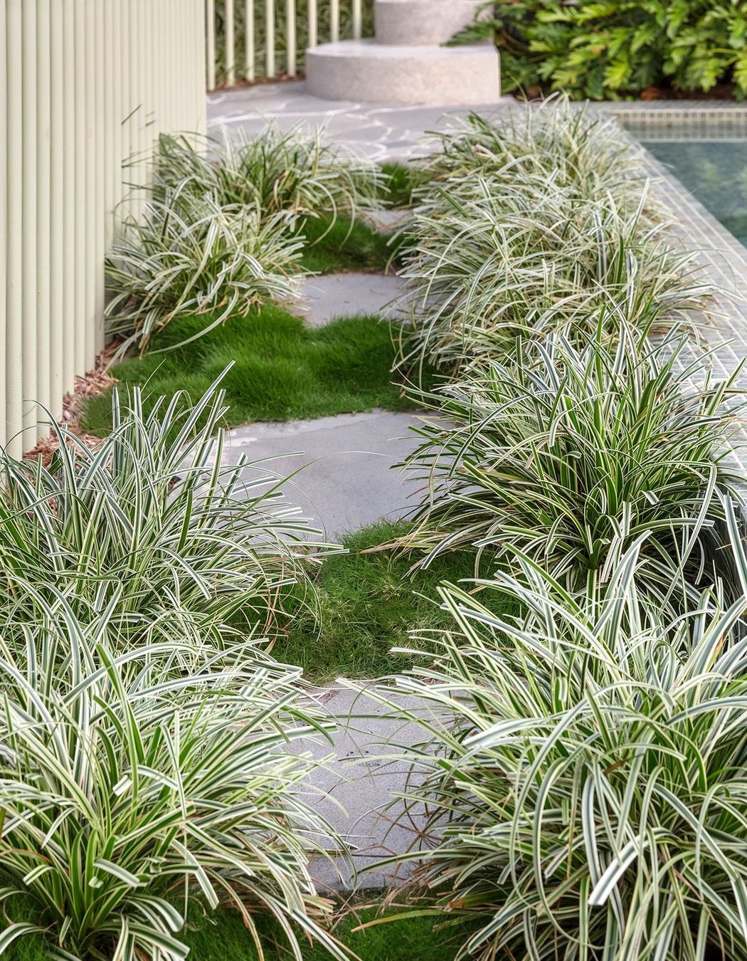 MLF24WallessTotorosPool00302RN-Edit-Fix-Zoysia.jpg
