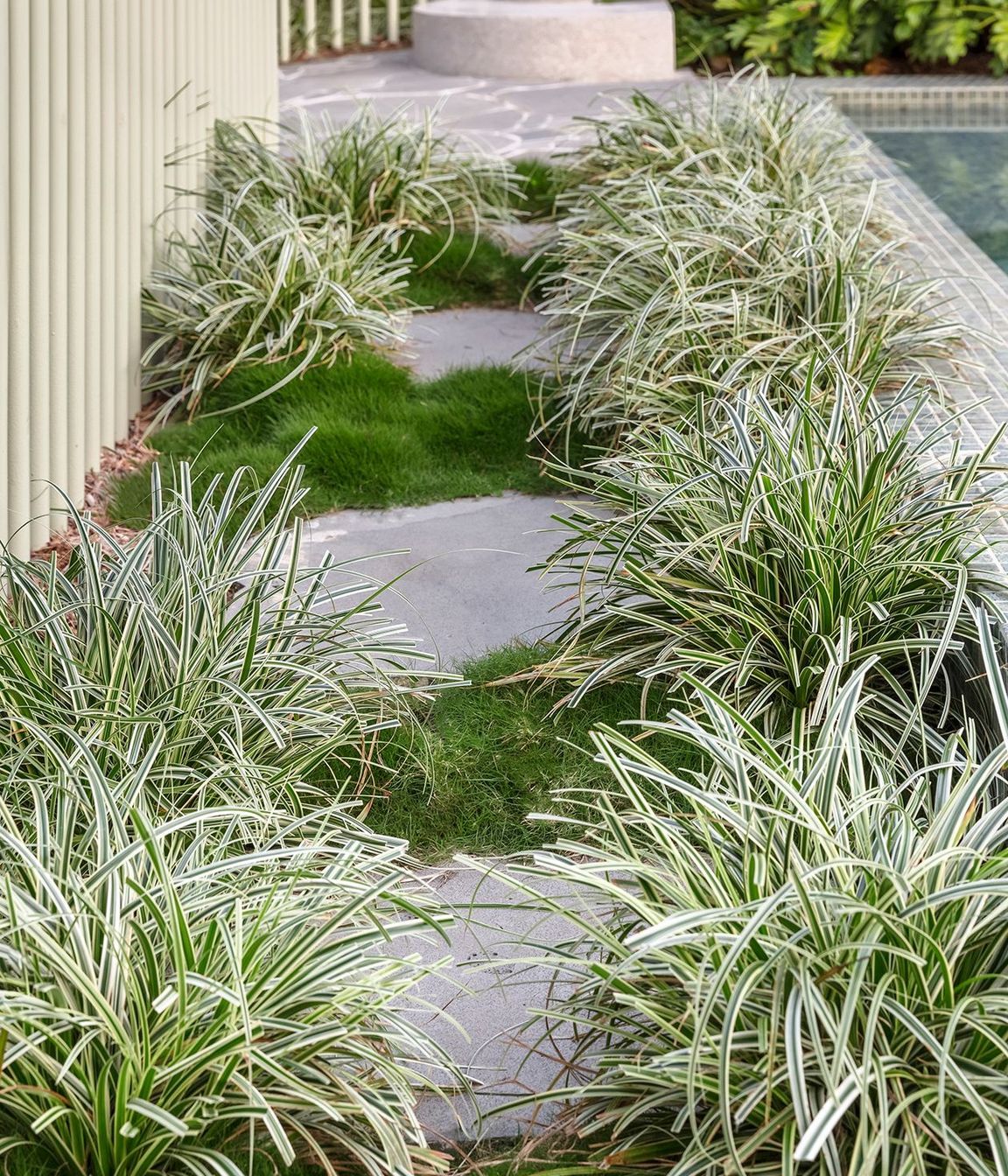 MLF24WallessTotorosPool00302RN-Edit-Fix-Zoysia.jpg