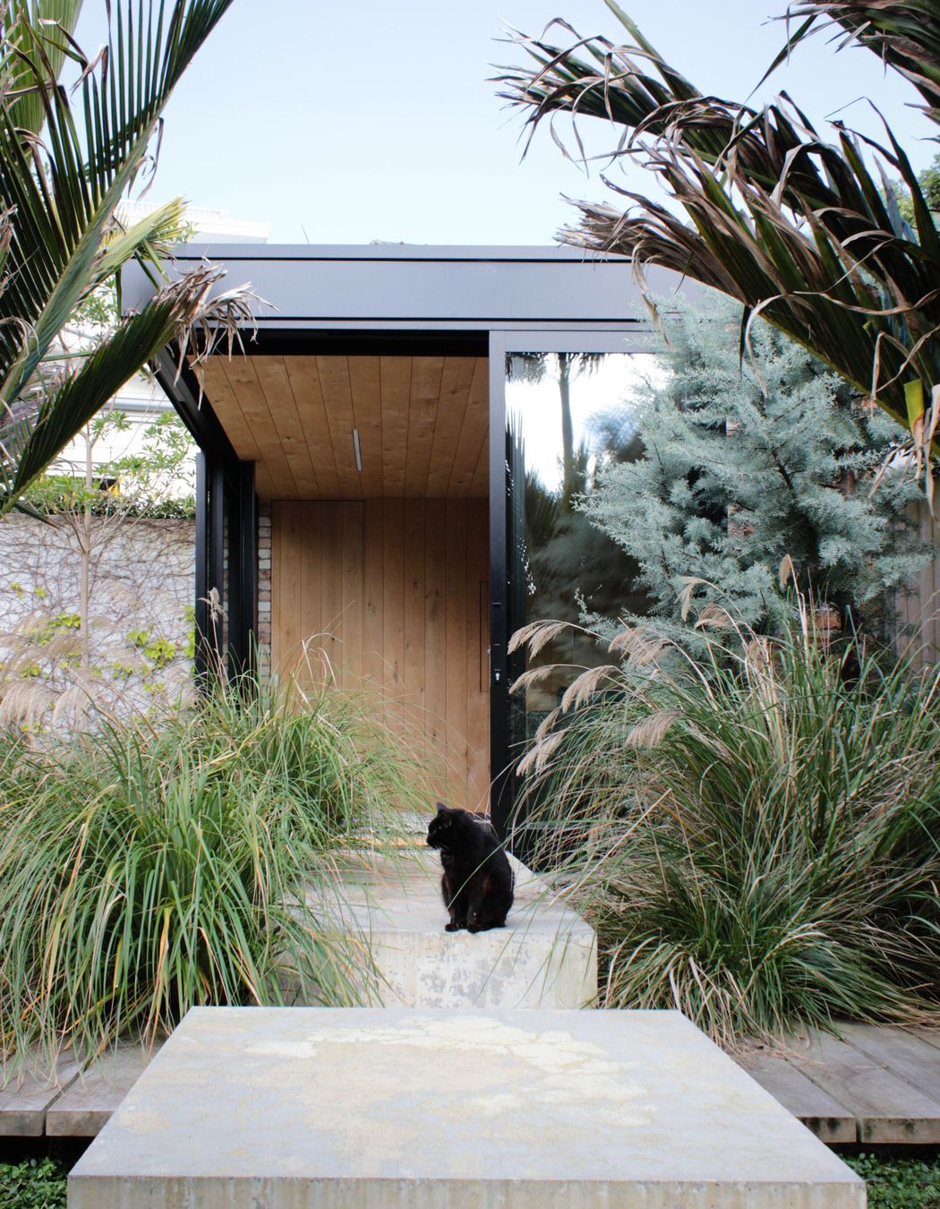 Herne Bay Extension &amp; Pool House