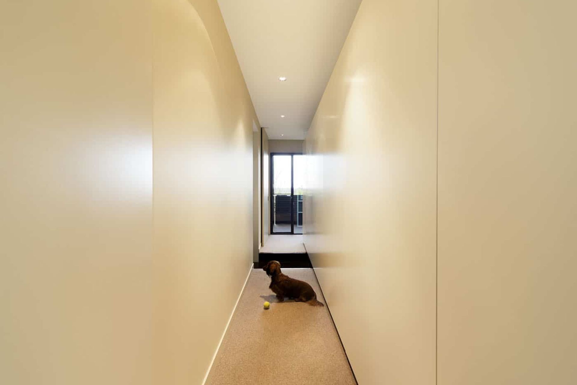 Douglas Street, Toorak