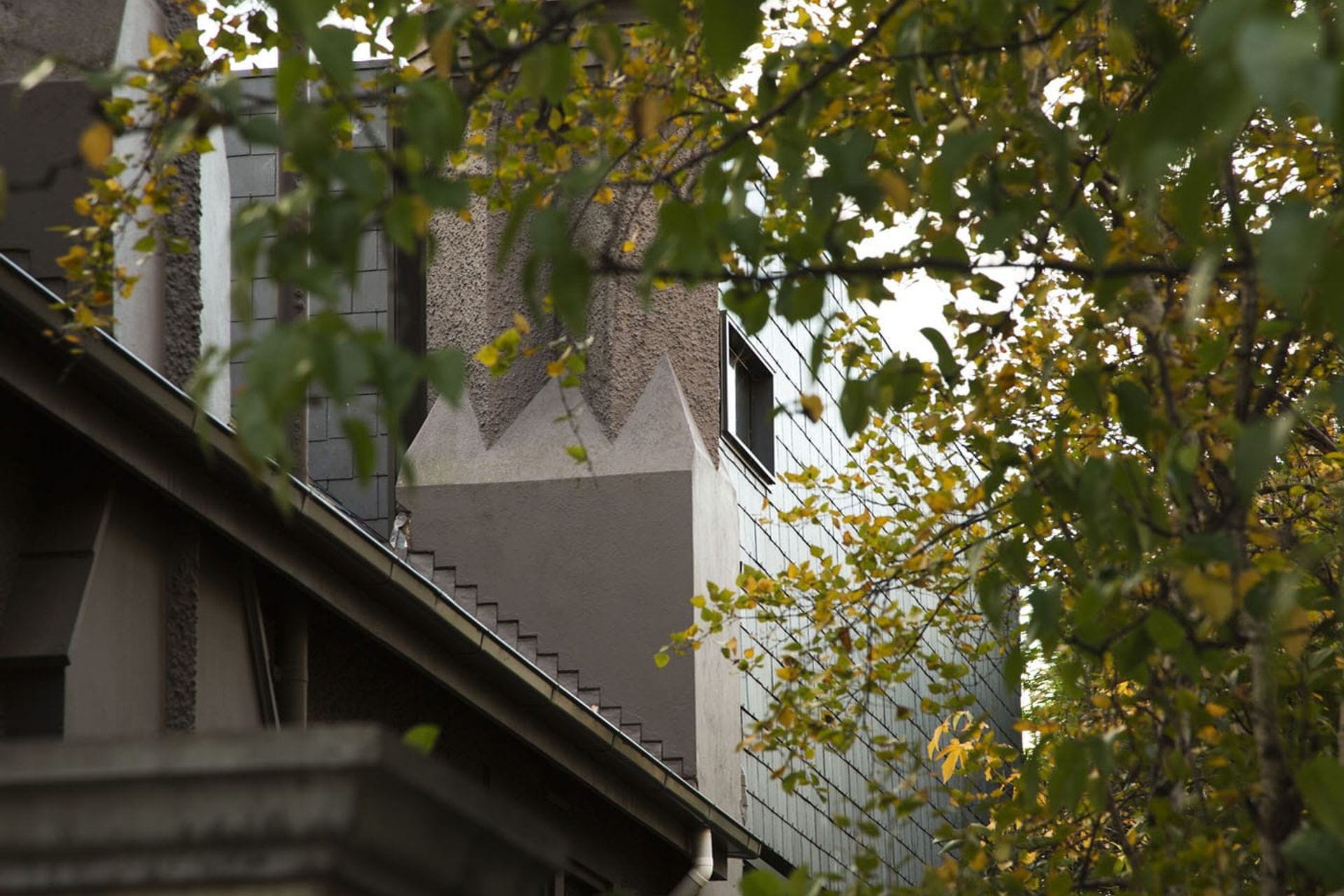 Douglas Street, Toorak