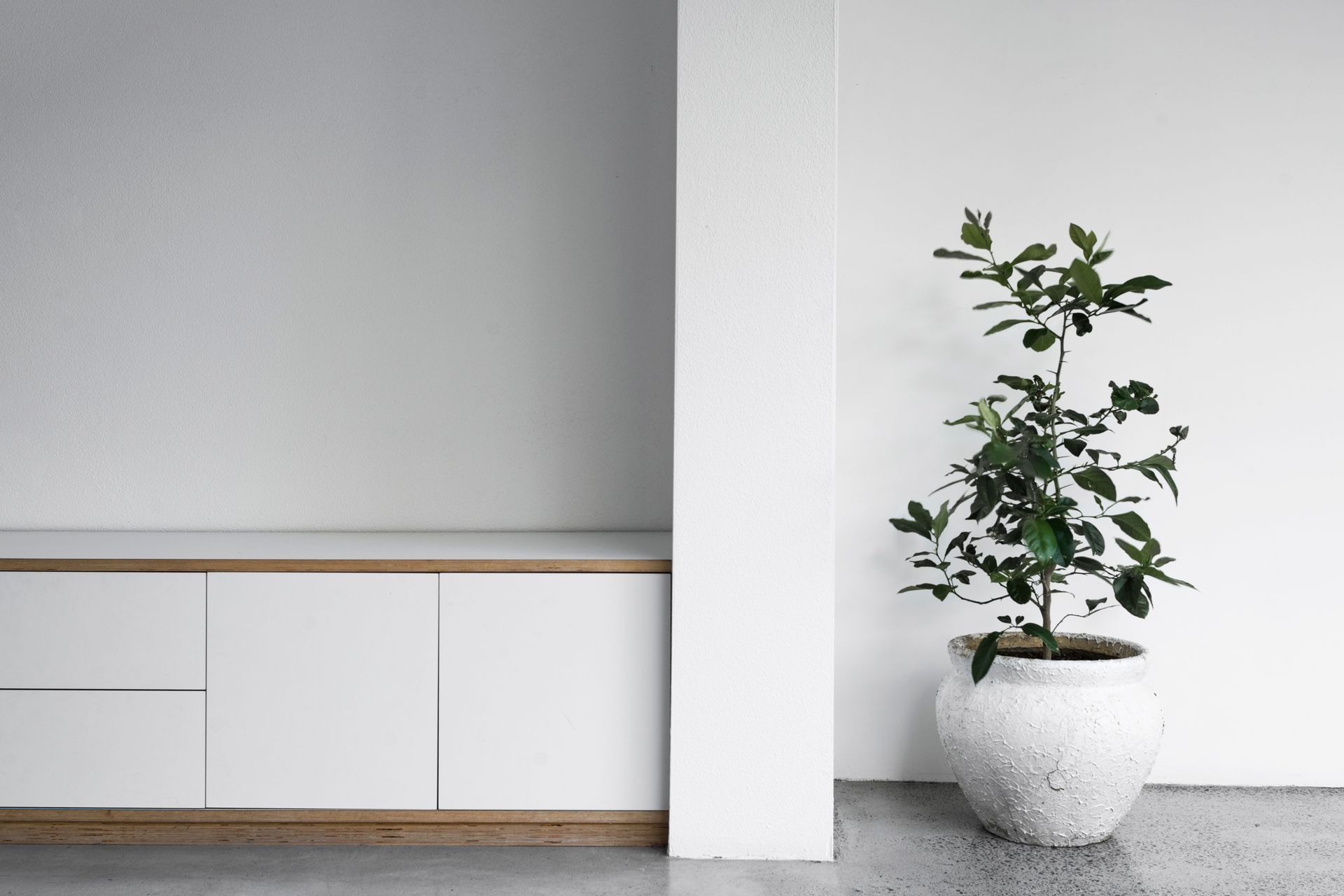 Courtyard House, Sydney