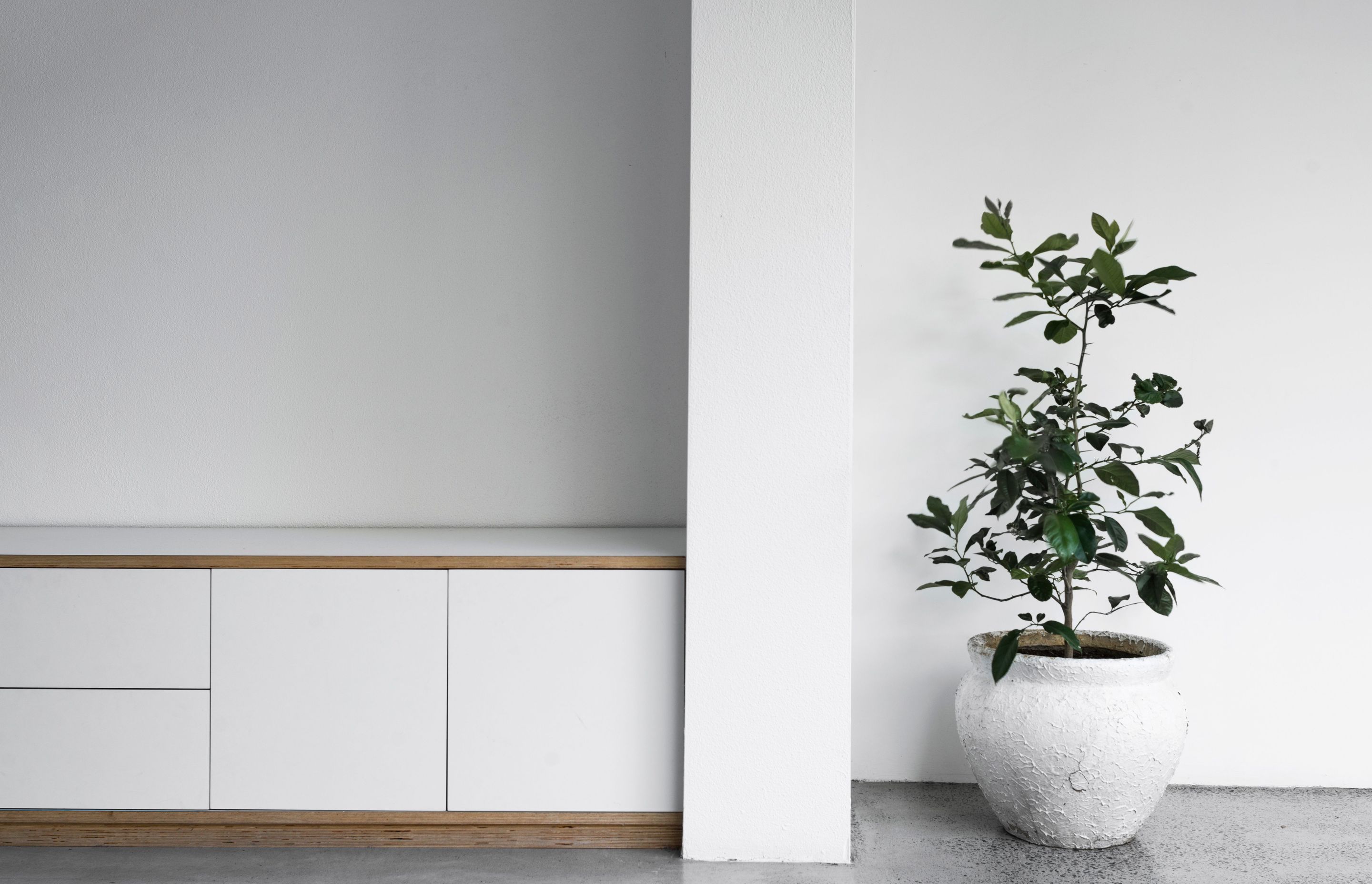 Courtyard House, Sydney