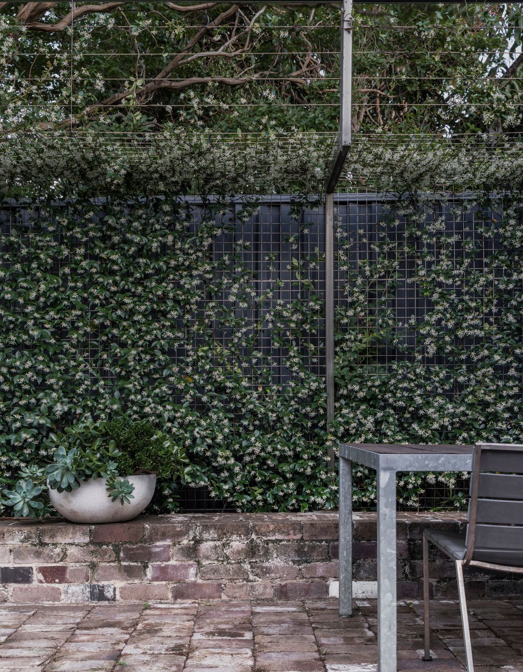 Courtyard House, Sydney