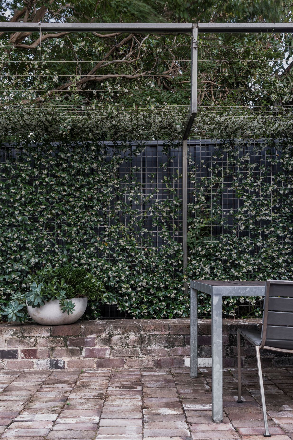 Courtyard House, Sydney