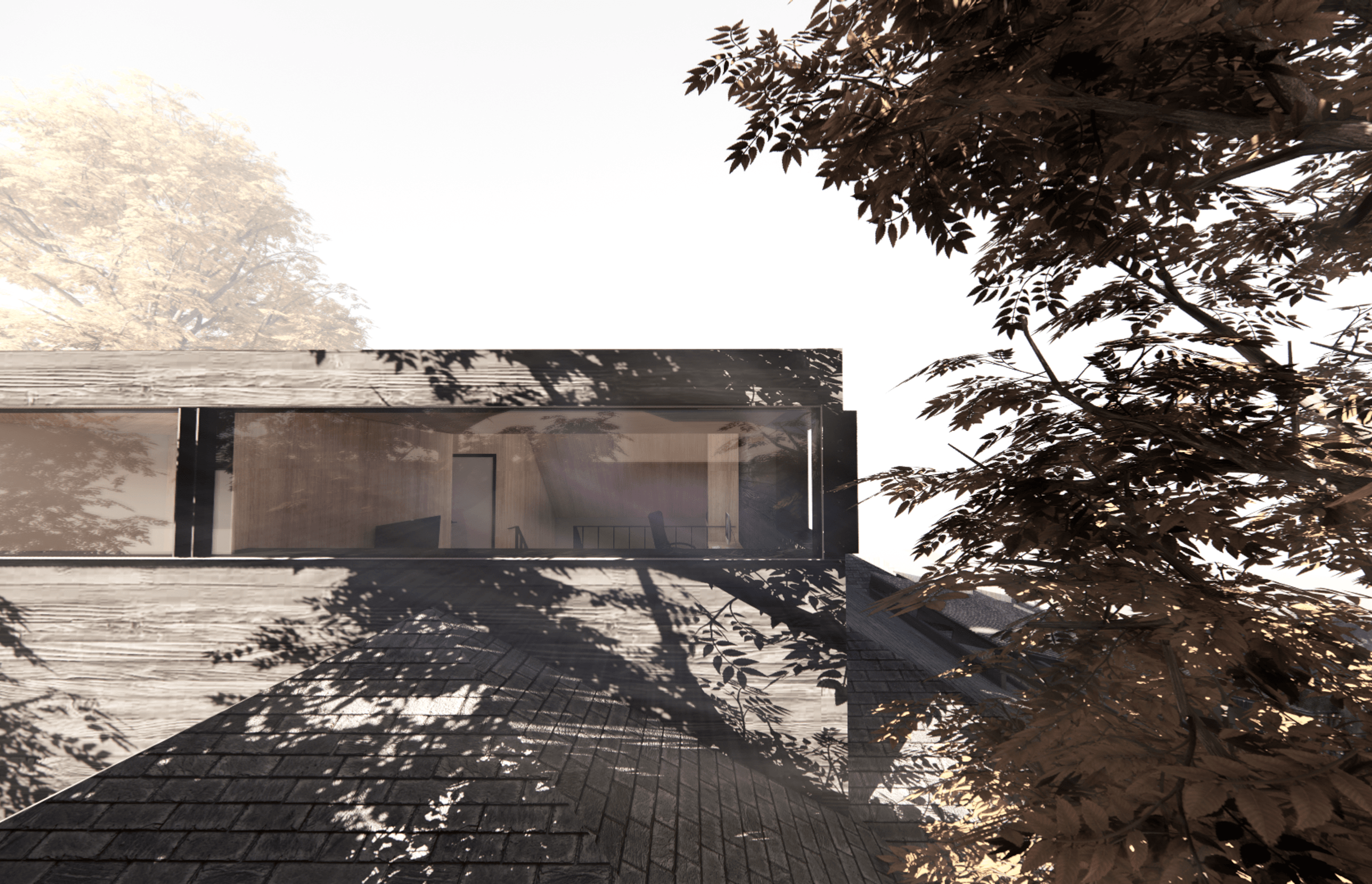 Treetop Retreat