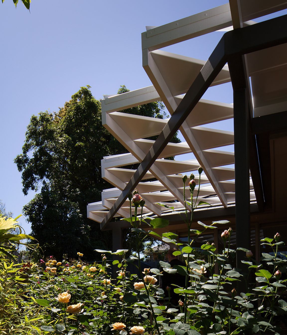 Rose Garden Origami