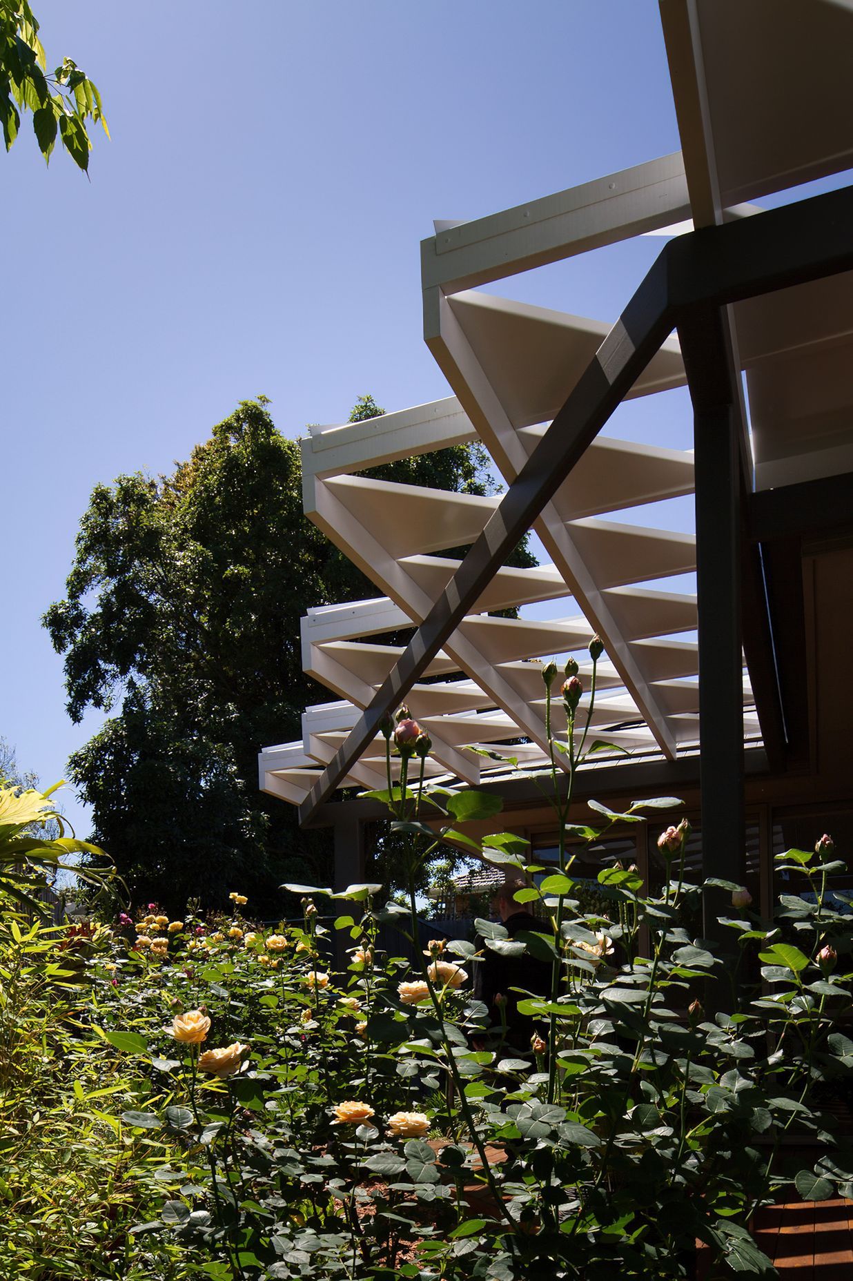 Rose Garden Origami