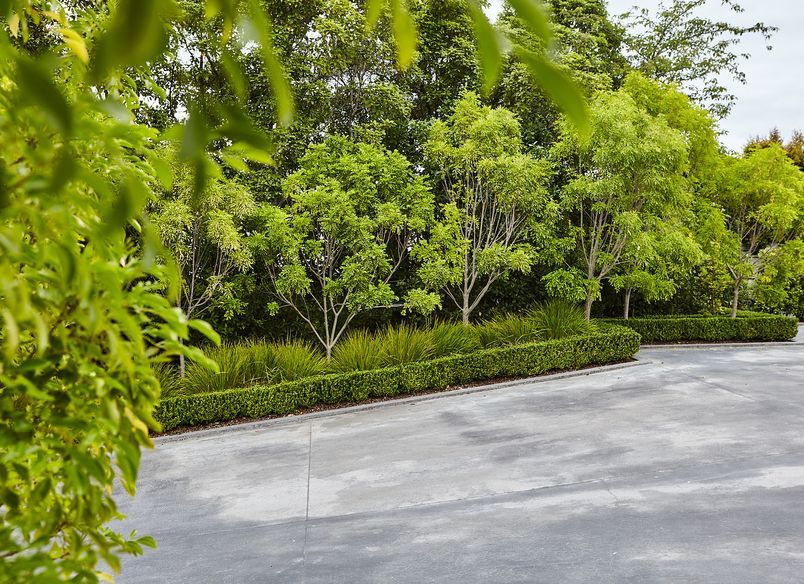 Te Mata Peak, Havelock North