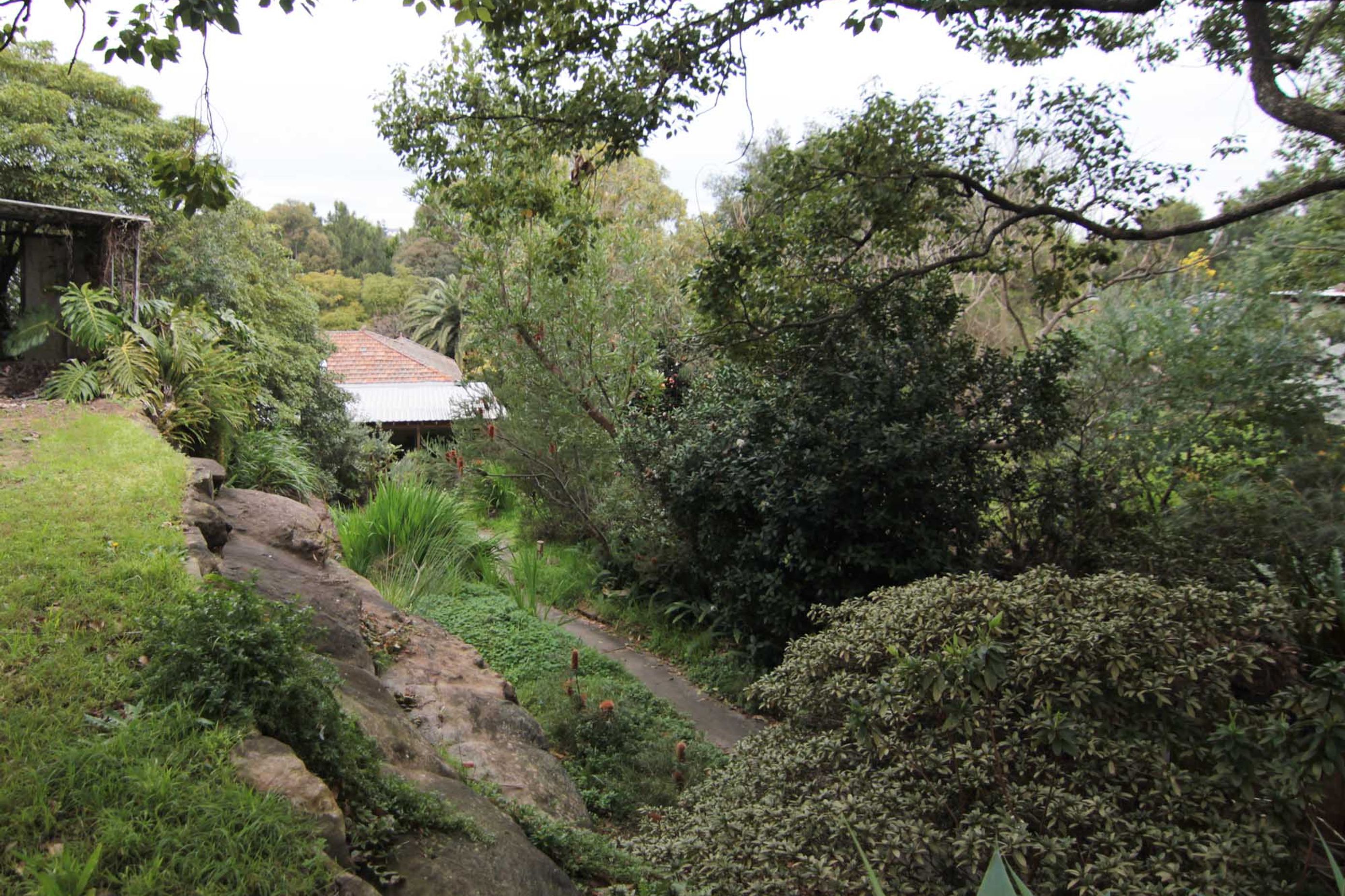 Cooks River House