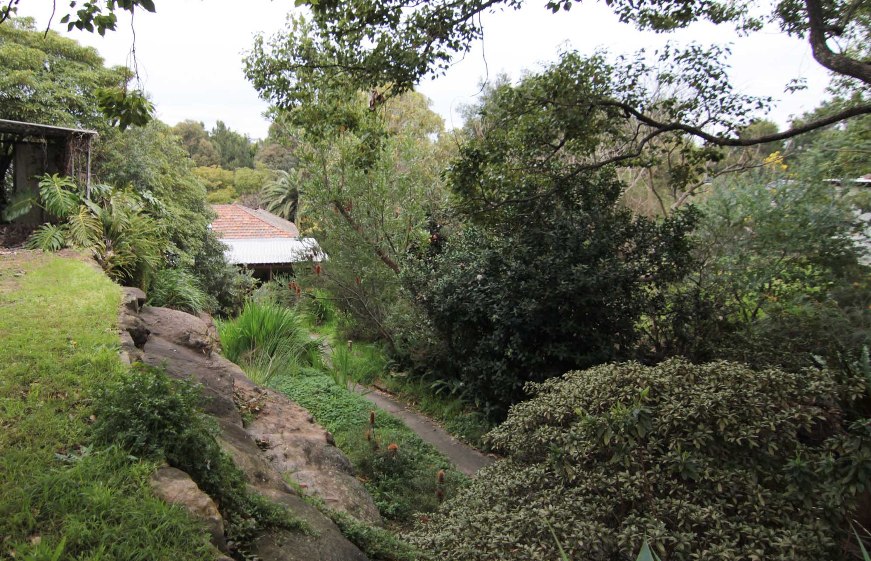 Cooks River House