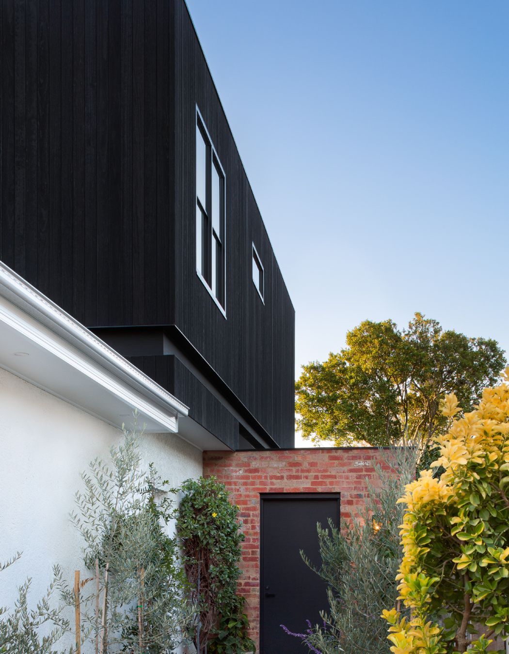 Camberwell Residence