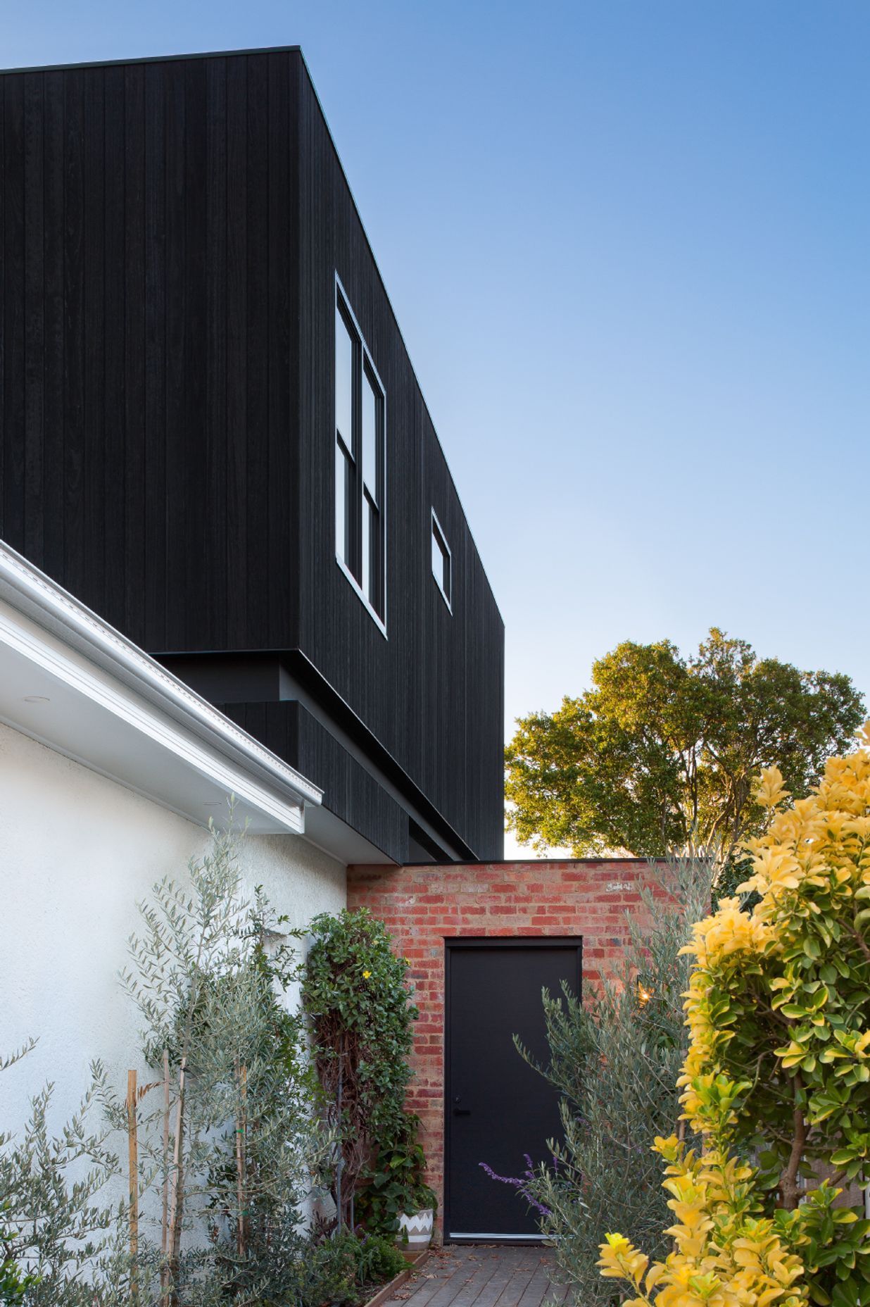Camberwell Residence