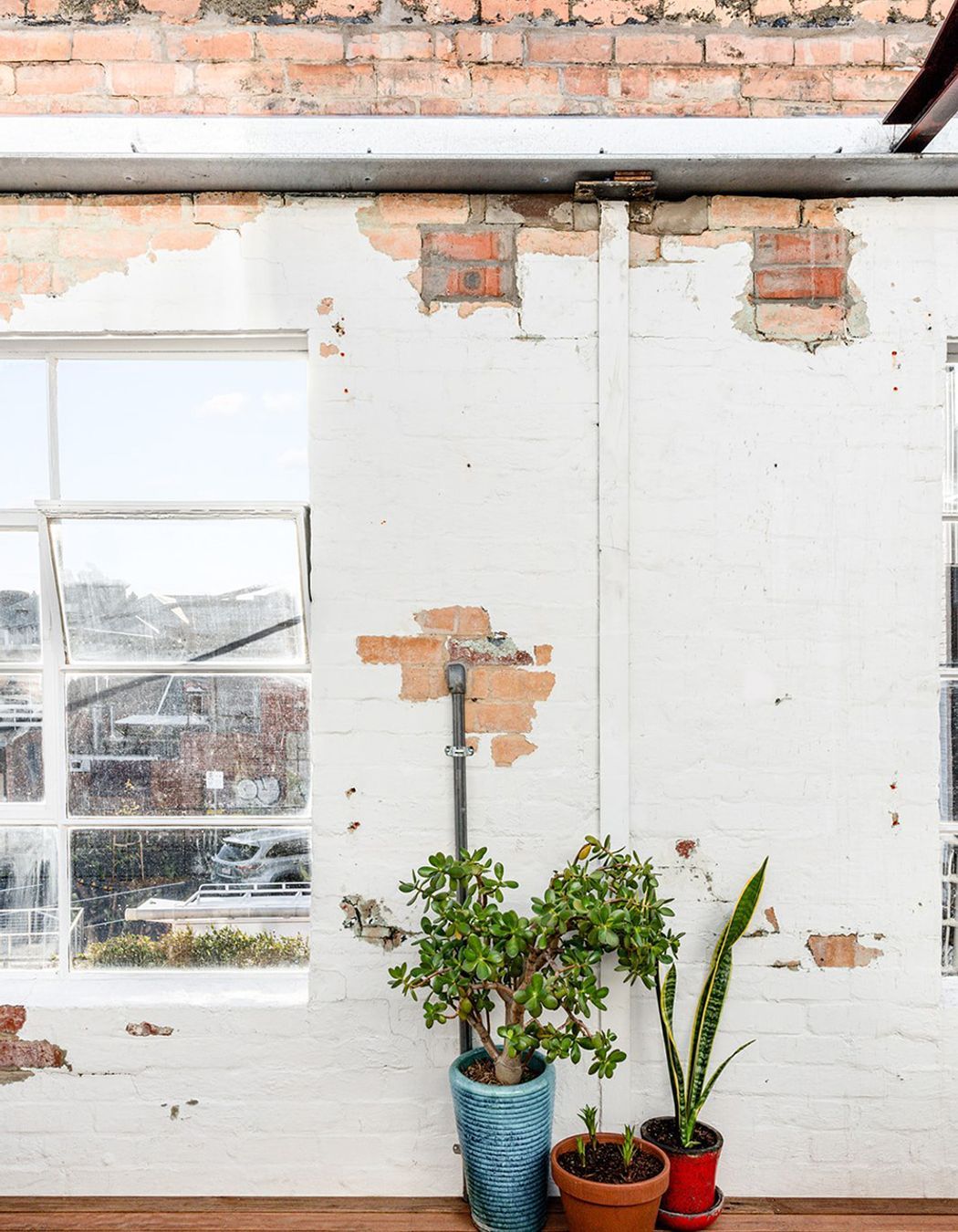 Warehouse Greenhouse