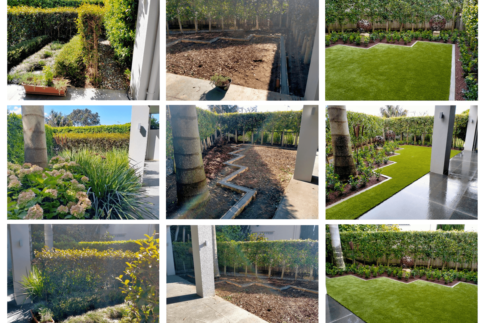 SIMPLISTIC SPLENDOR TRANSITION IMAGES