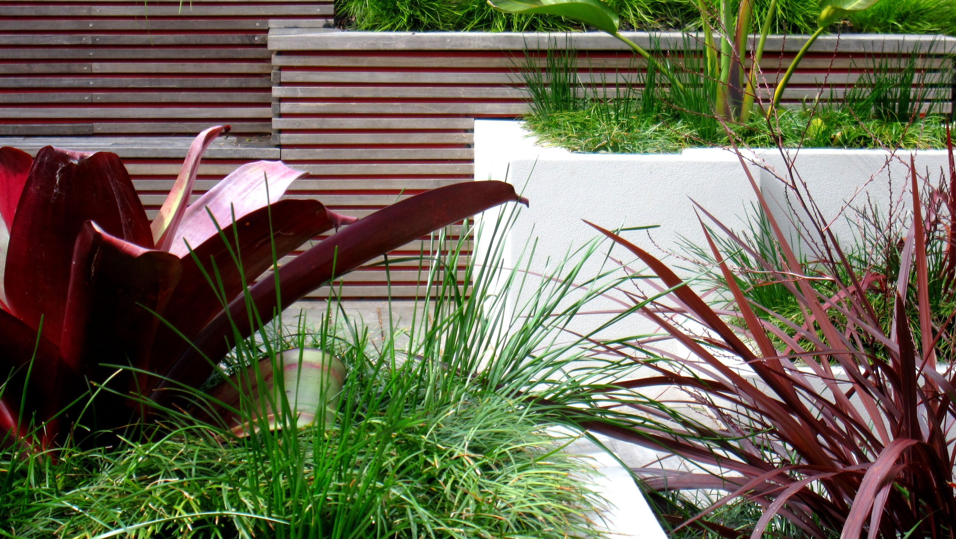 Hillsborough Garden