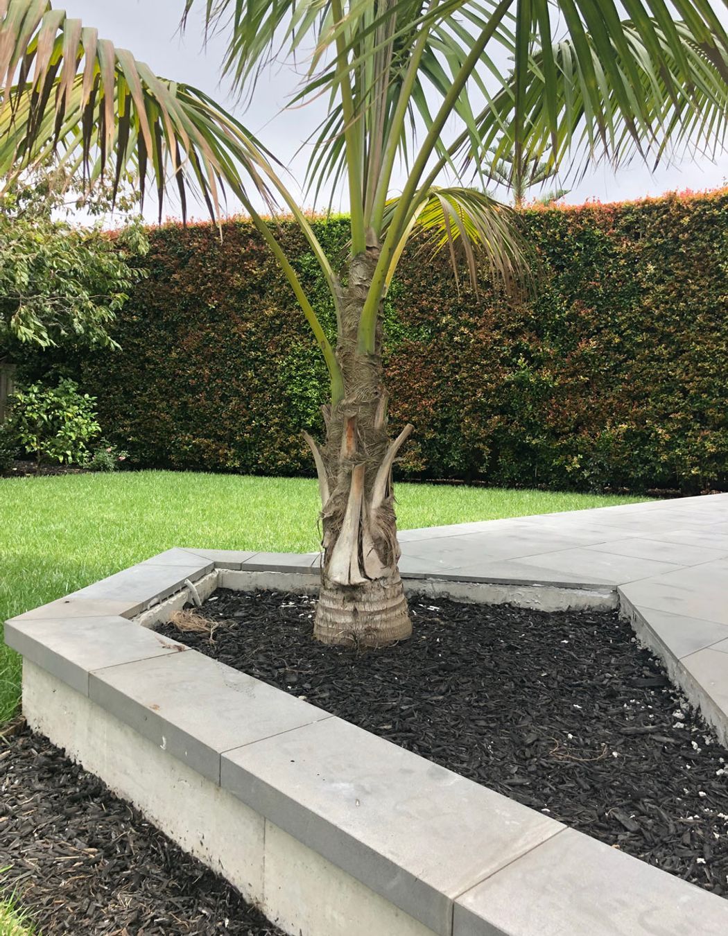 Custom Bluestone Paving