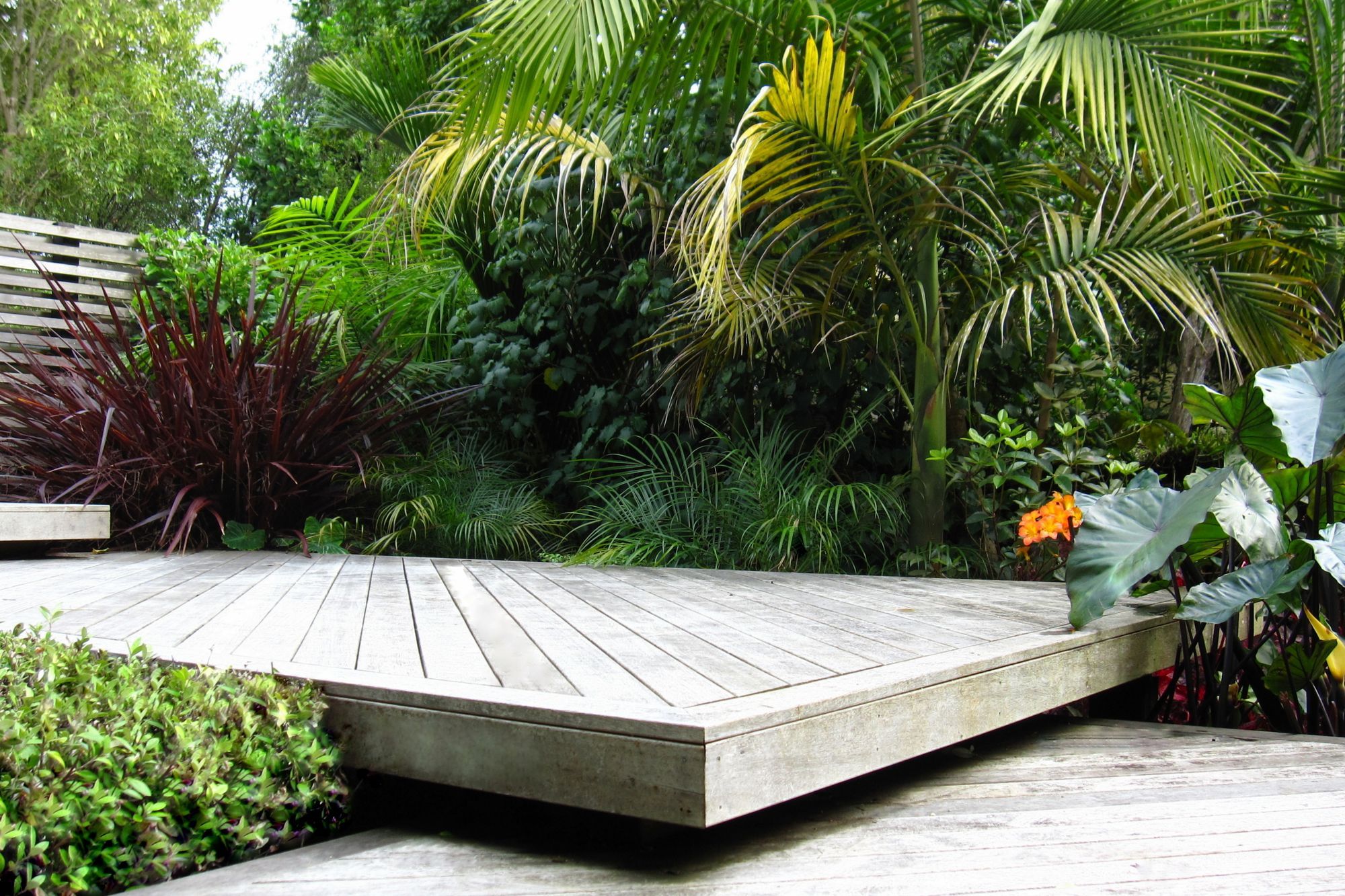 Grey Lynn Garden
