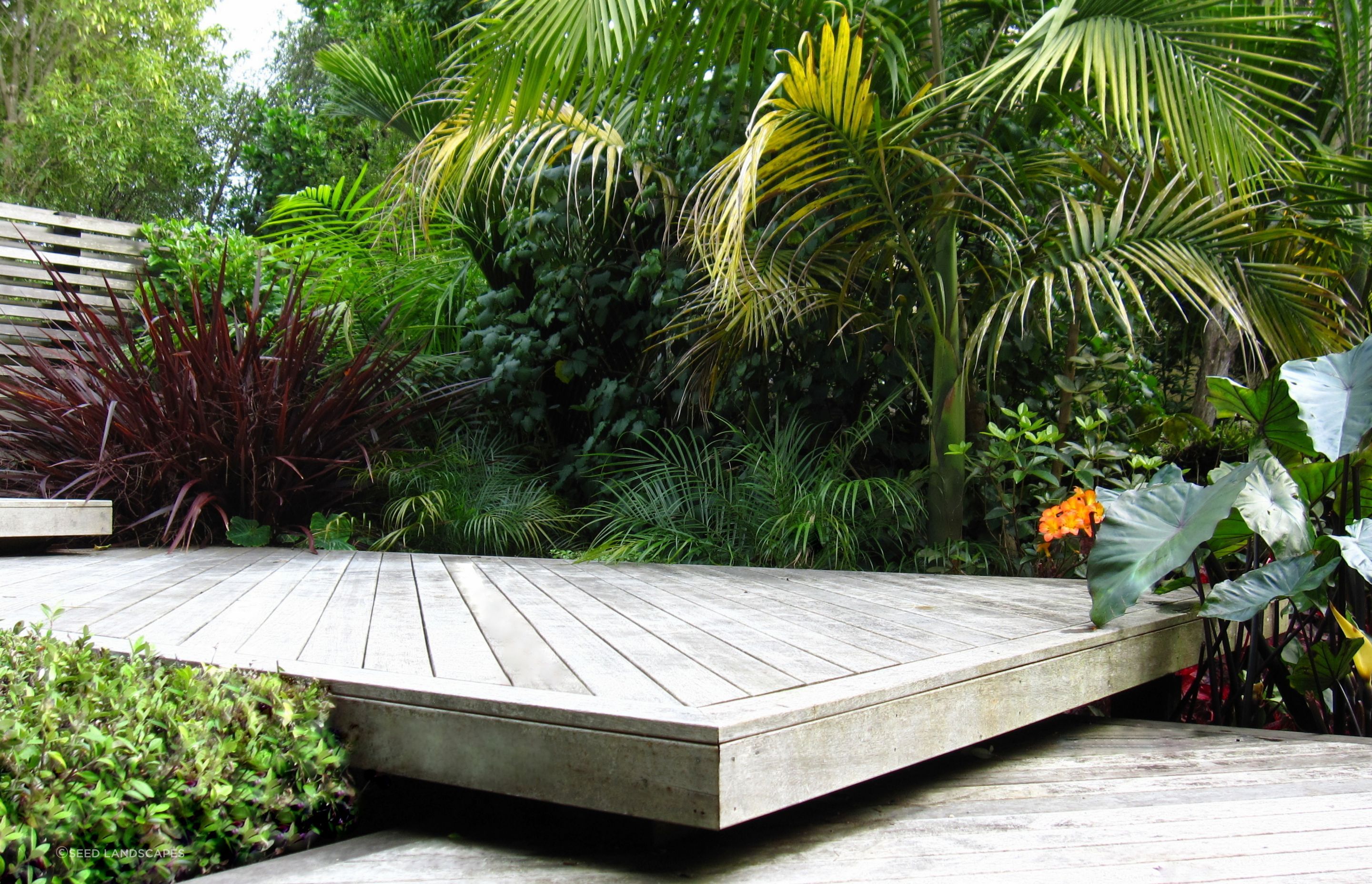 Grey Lynn Garden