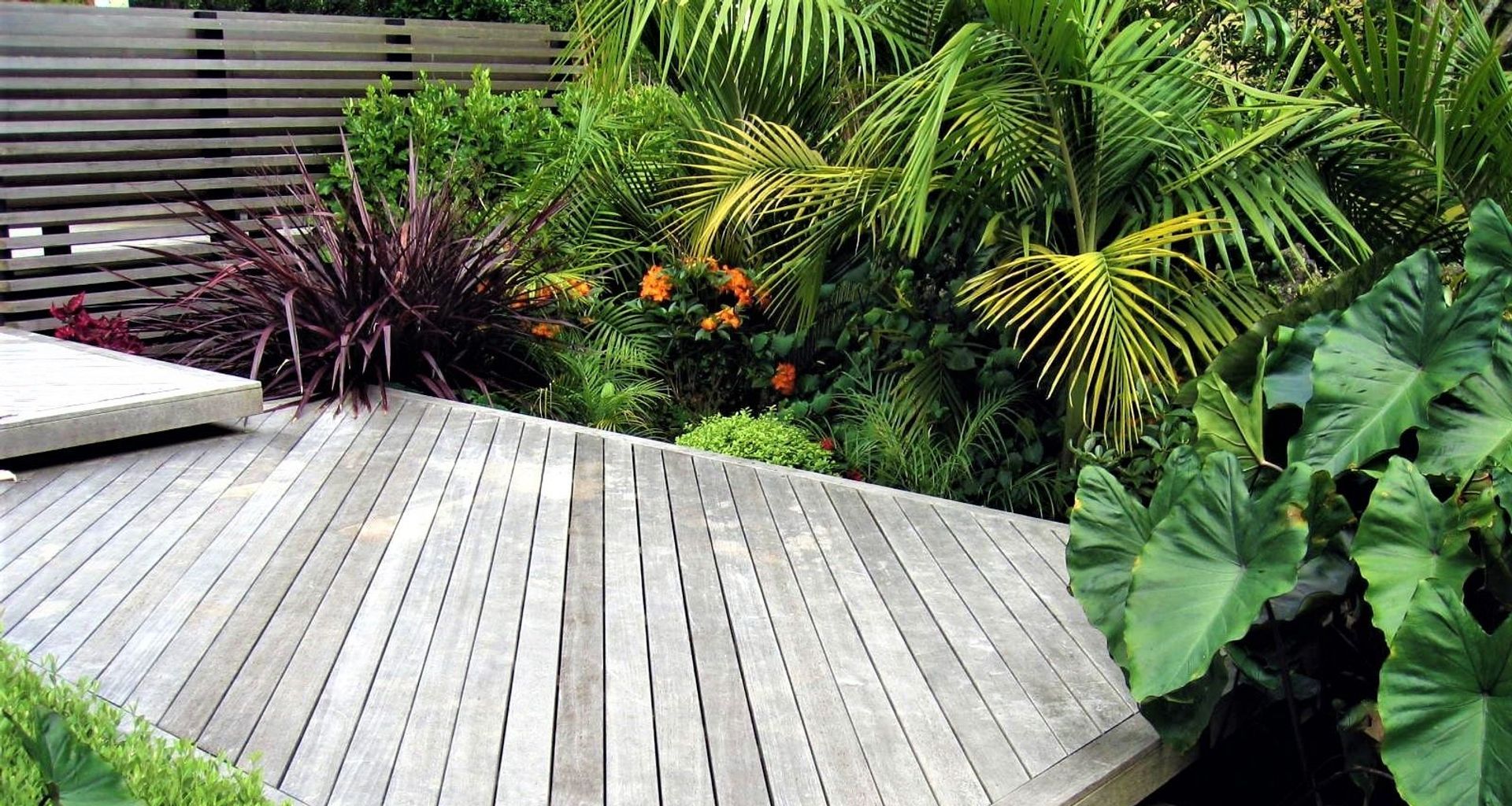 Grey Lynn Garden   banner