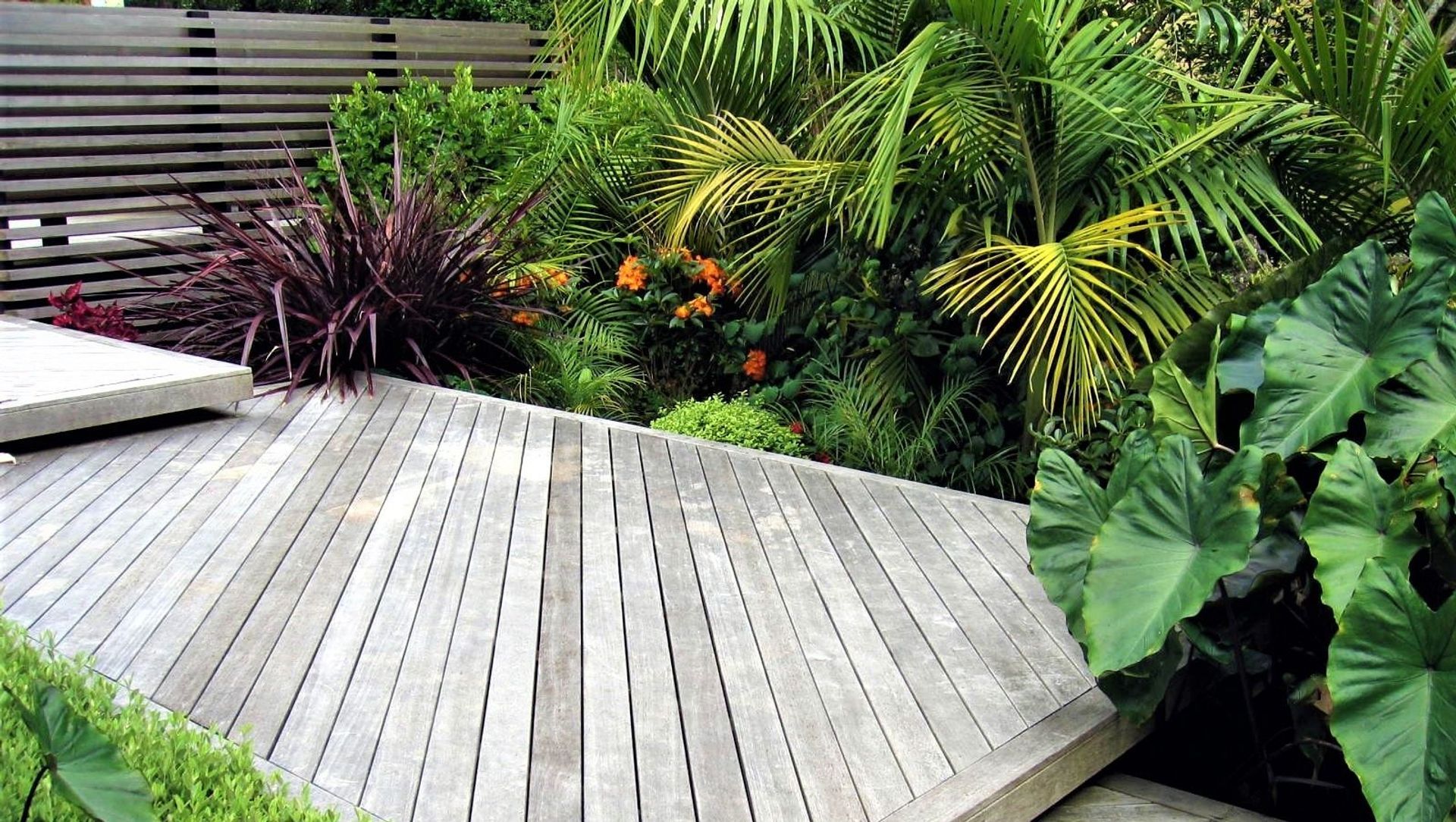 Grey Lynn Garden banner