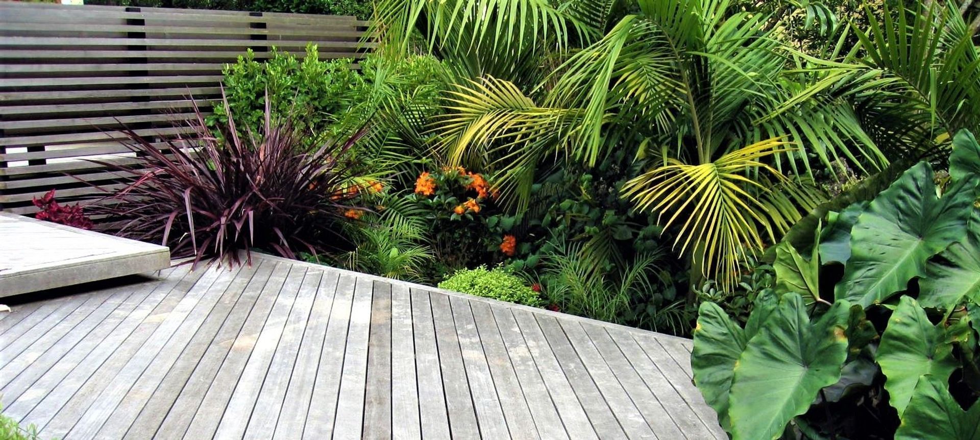 Grey Lynn Garden   banner