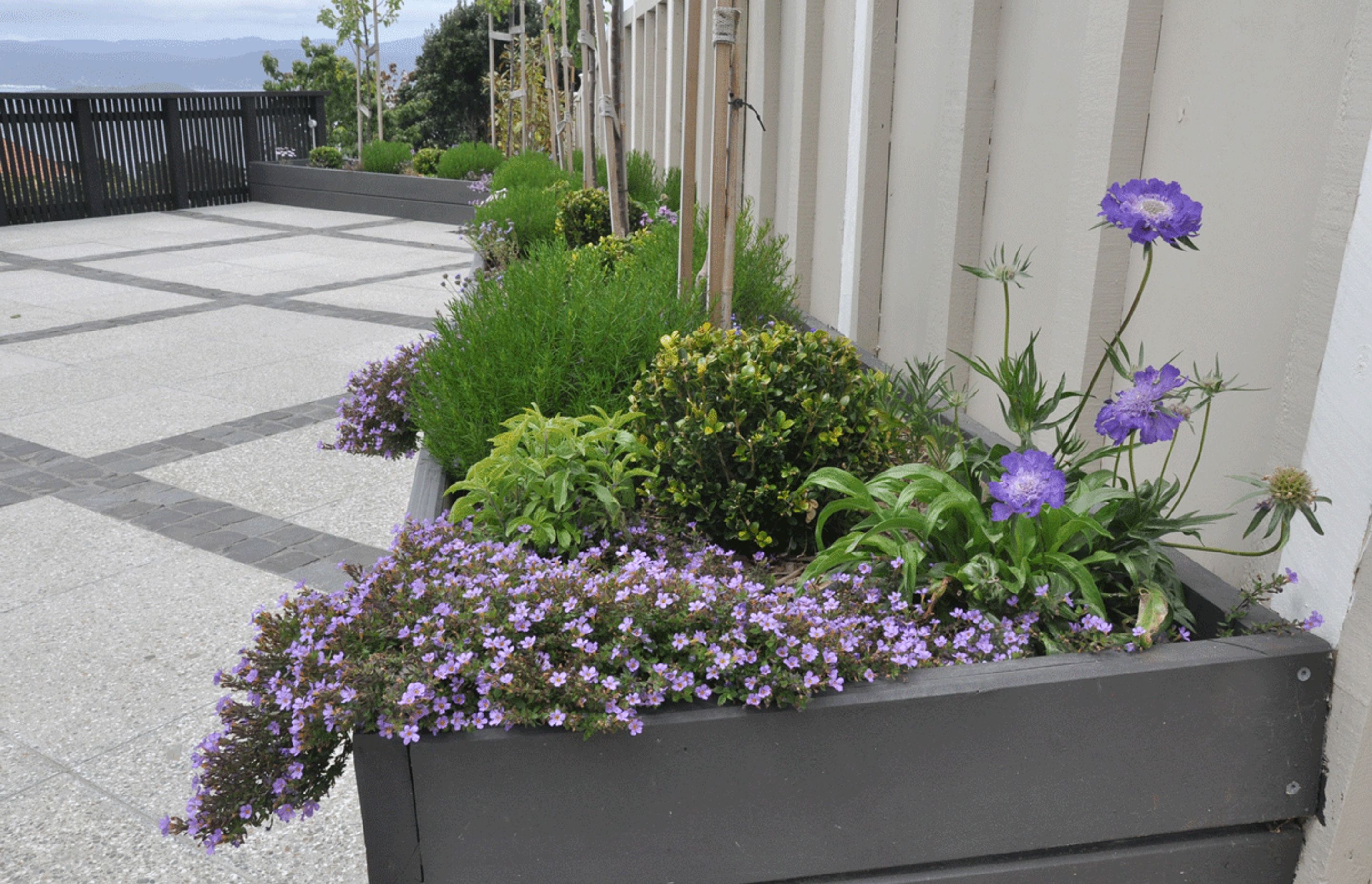 Wadestown property - Horizon International Terrazzo Veneto and Basalt stone.