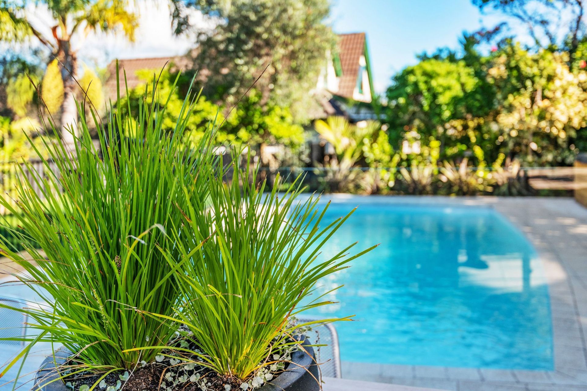 Custom Pool - Auckland 6