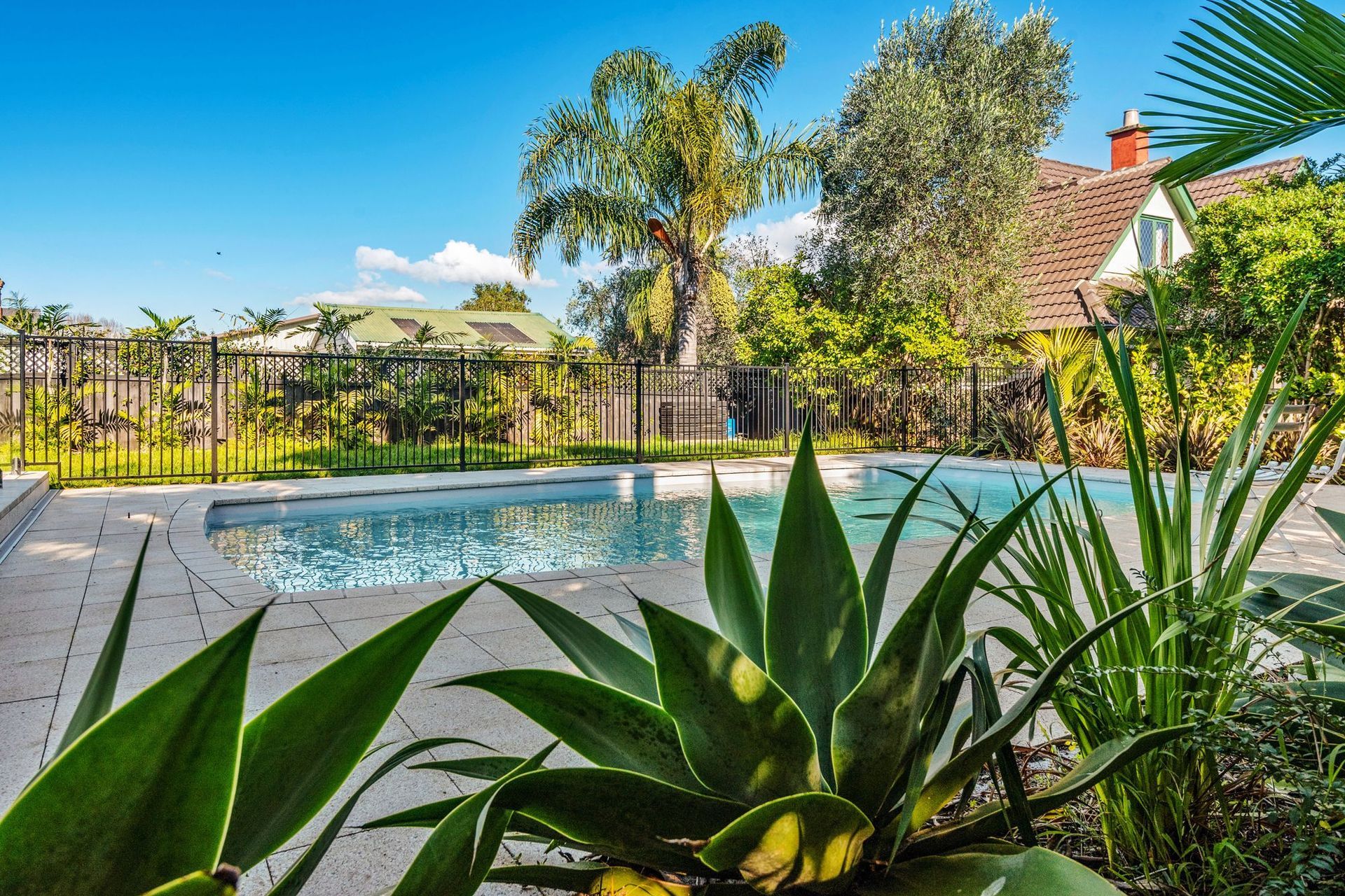 Custom Pool - Auckland 6