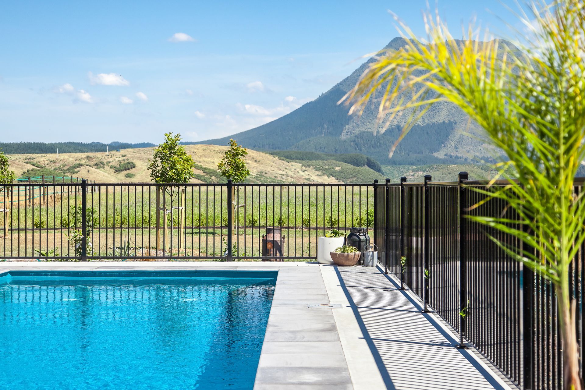 Custom Pool - Bay of Plenty