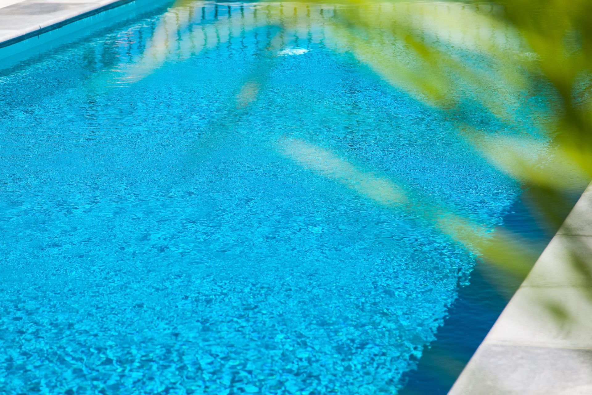 Custom Pool - Bay of Plenty