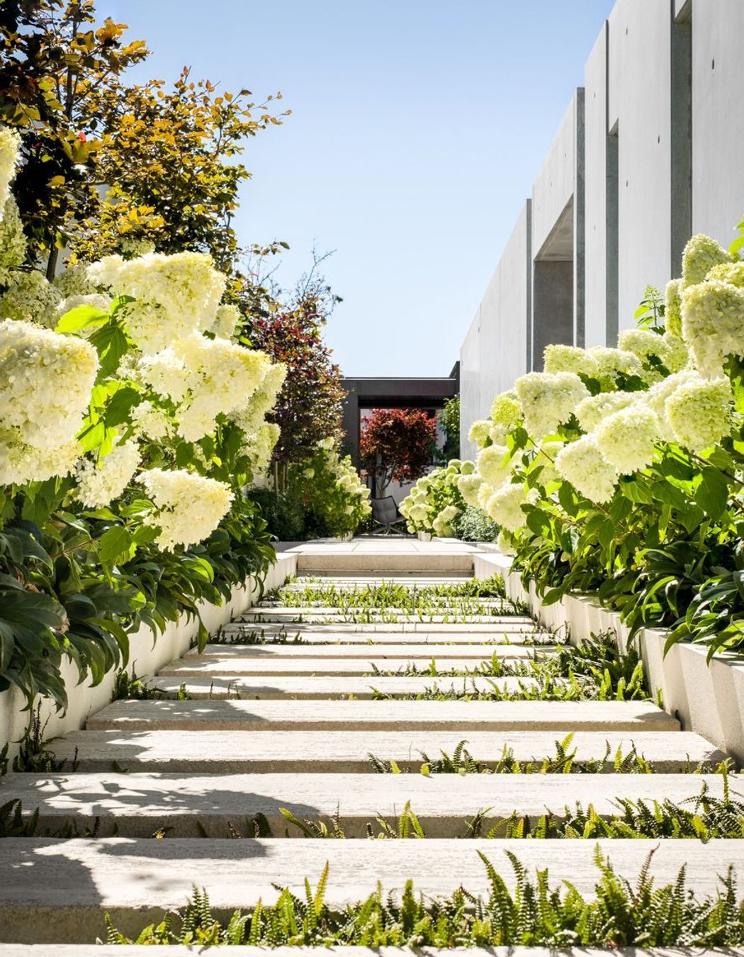 Wairarapa Terrace, Merivale