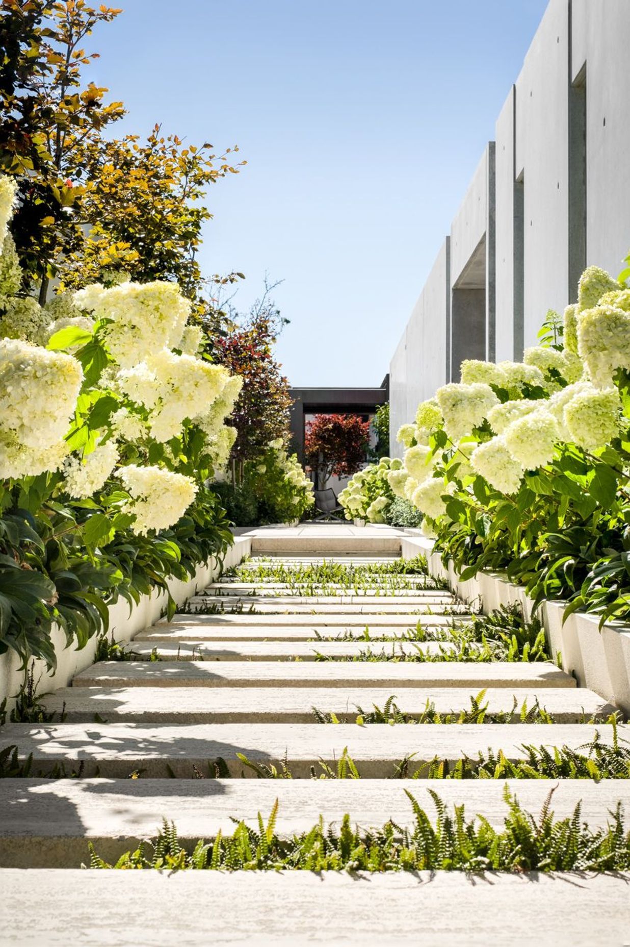 Wairarapa Terrace, Merivale