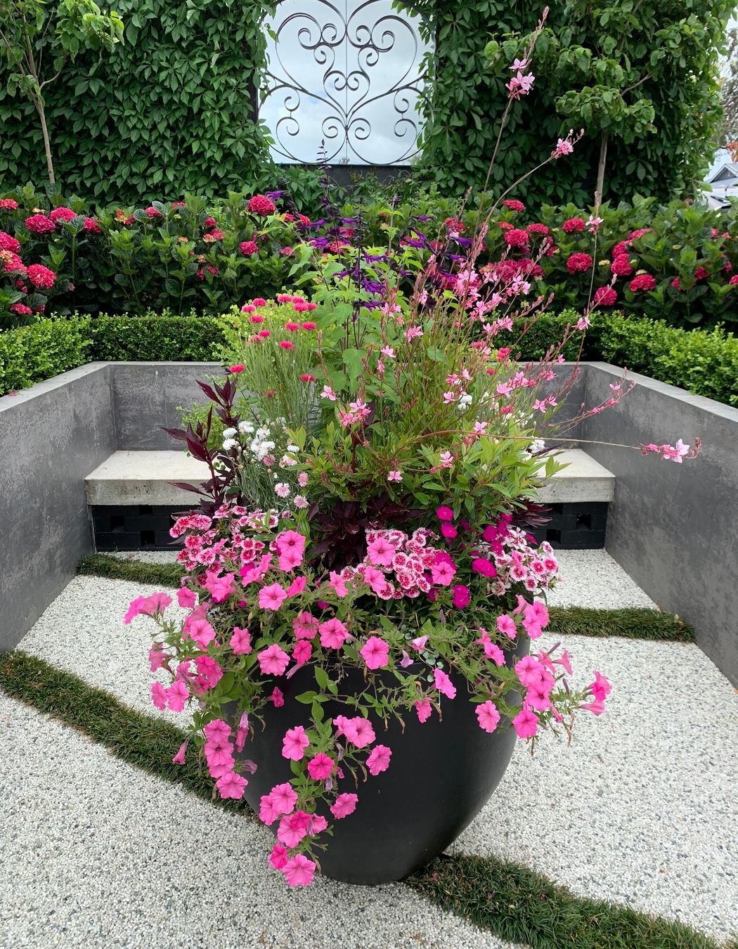 Classical and contemporary courtyard, Mt Eden