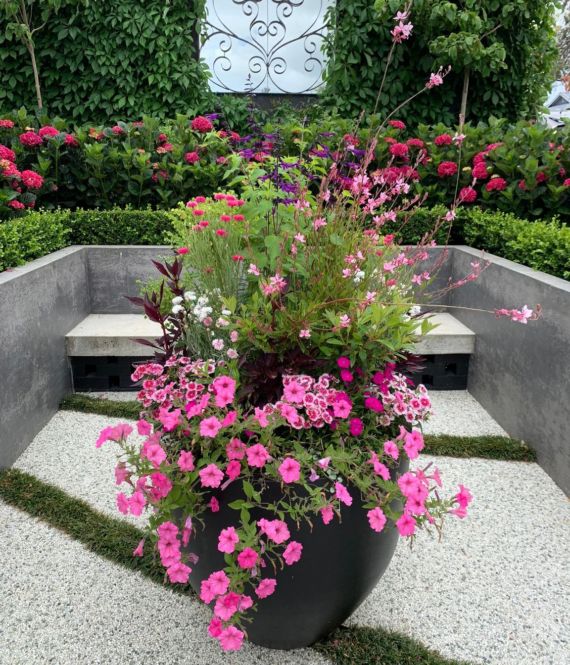 Classical and contemporary courtyard, Mt Eden