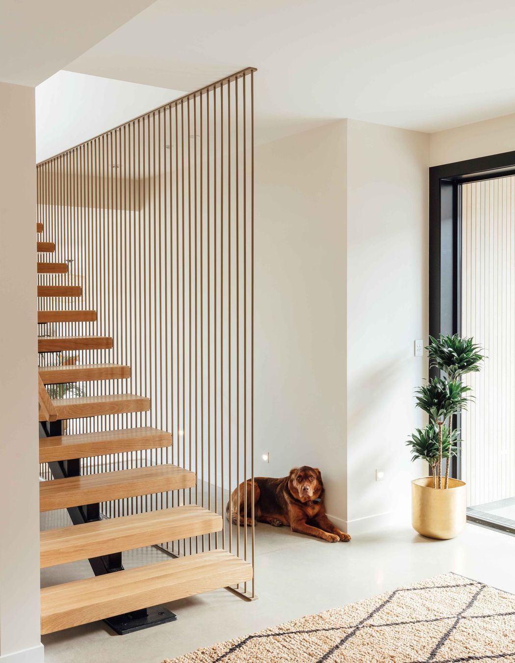 An open-tread, suspended timber staircase creates a floating element in the entry space.