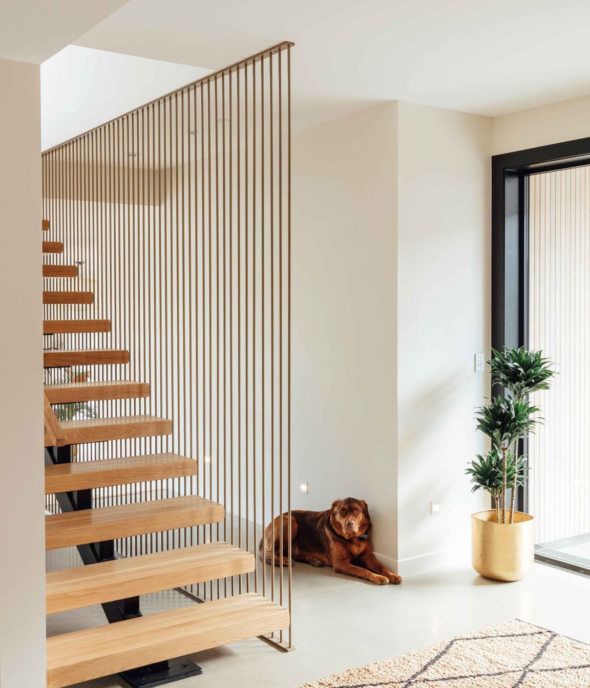 An open-tread, suspended timber staircase creates a floating element in the entry space.