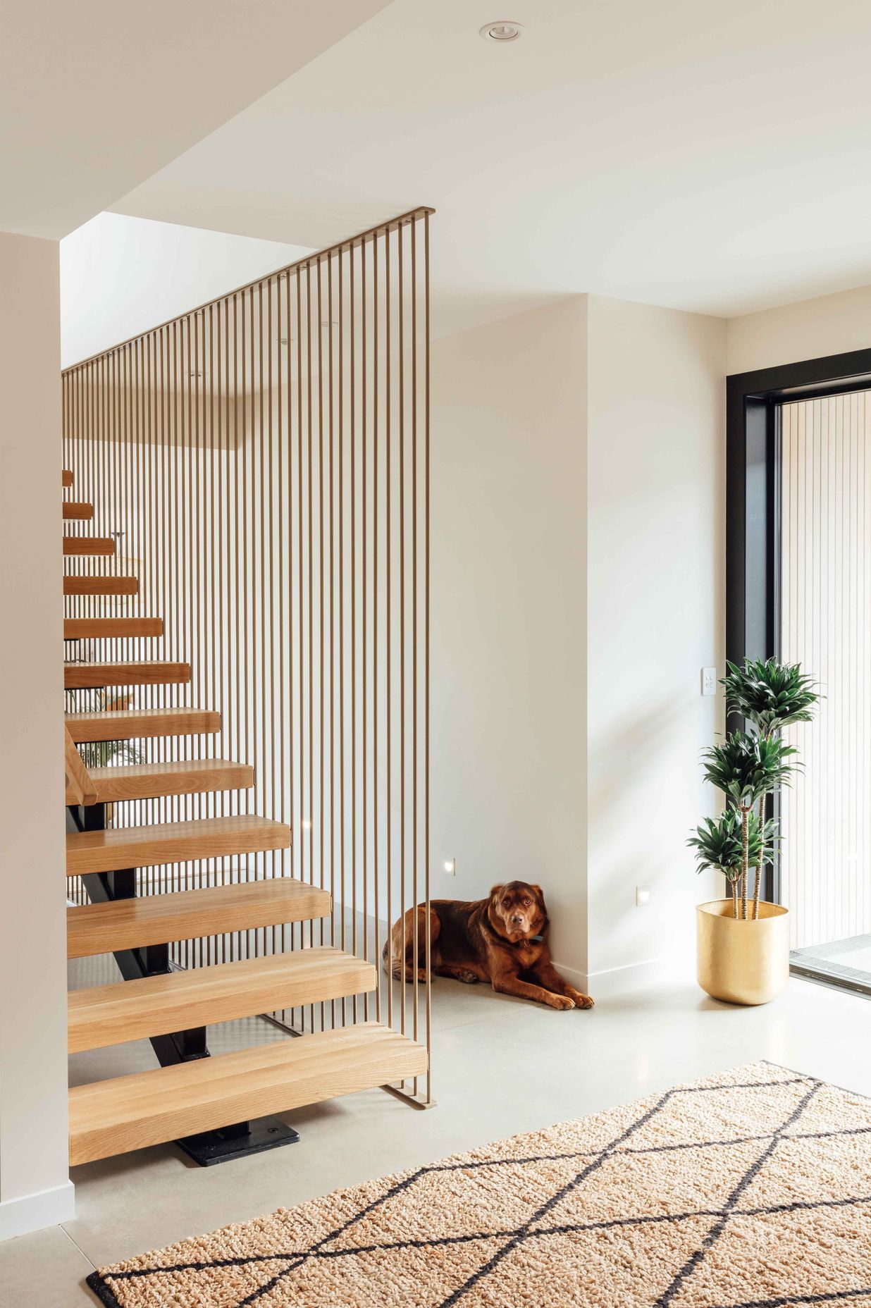 An open-tread, suspended timber staircase creates a floating element in the entry space.