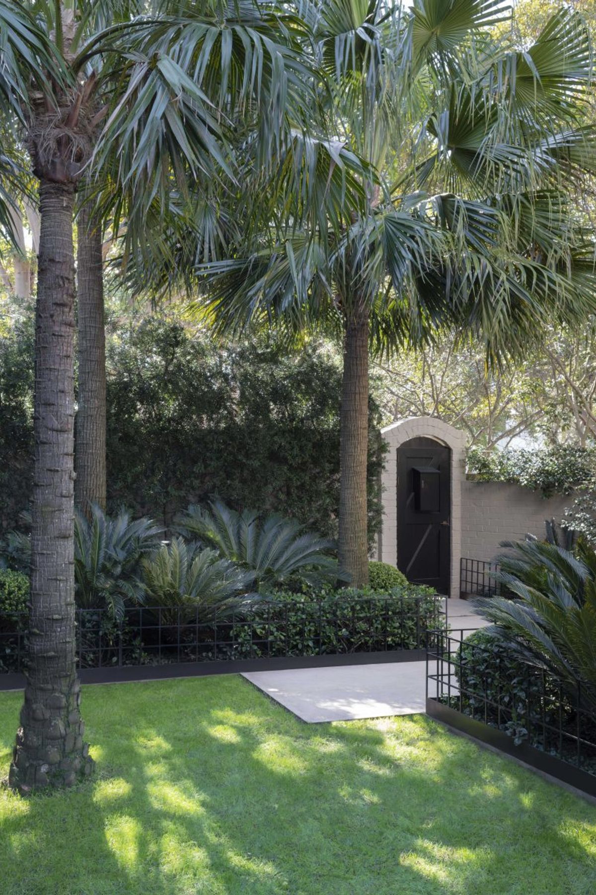 Double Bay Courtyard