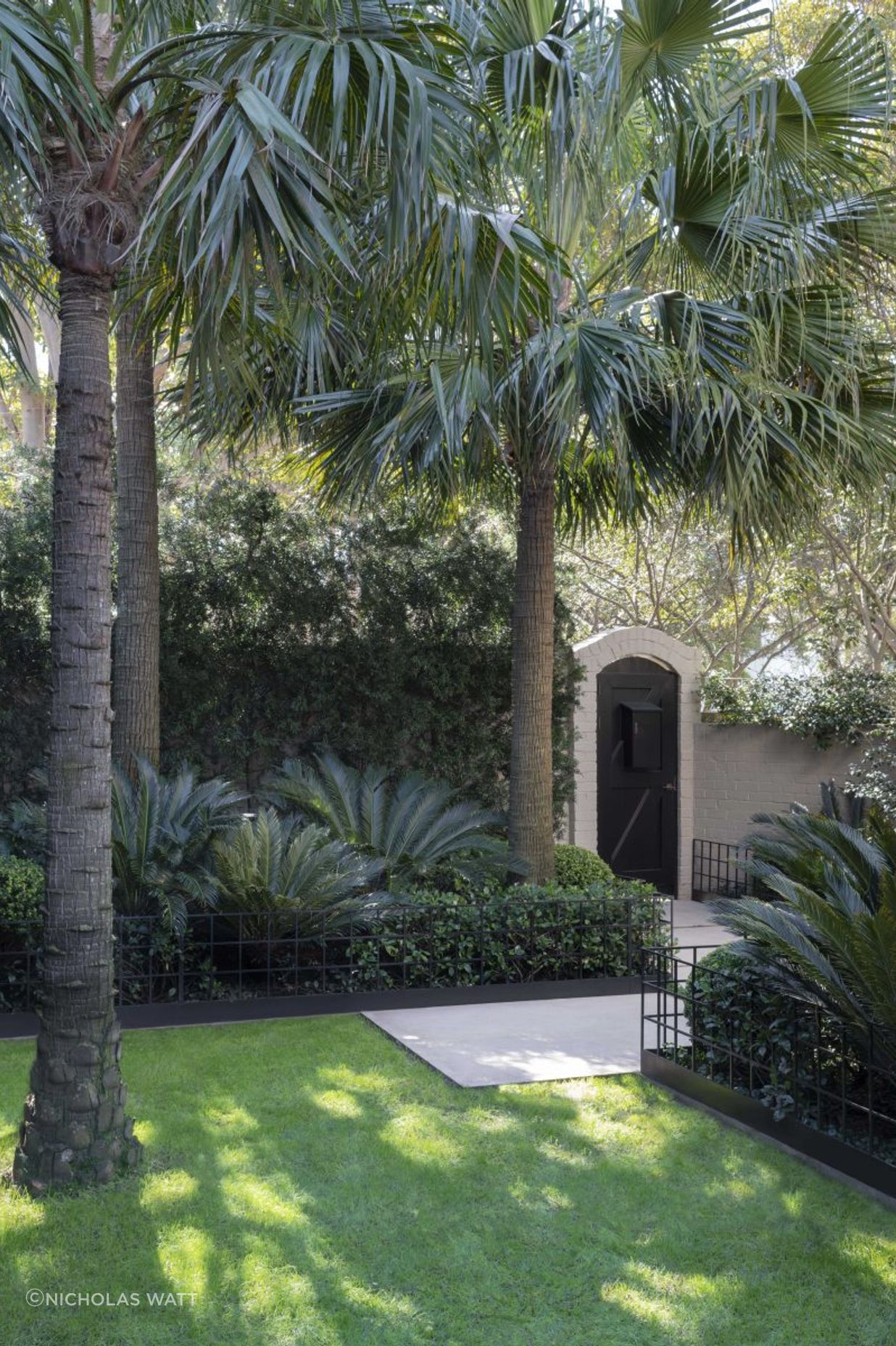 Double Bay Courtyard