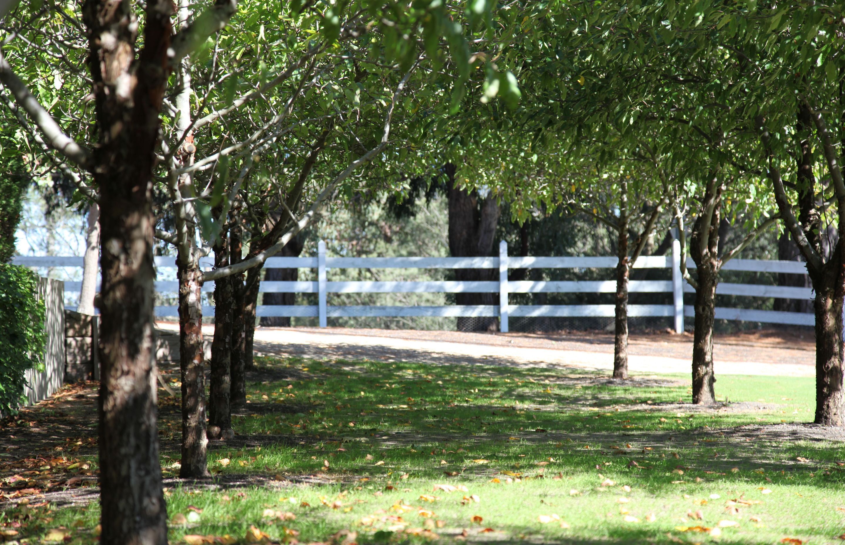 Red Hill