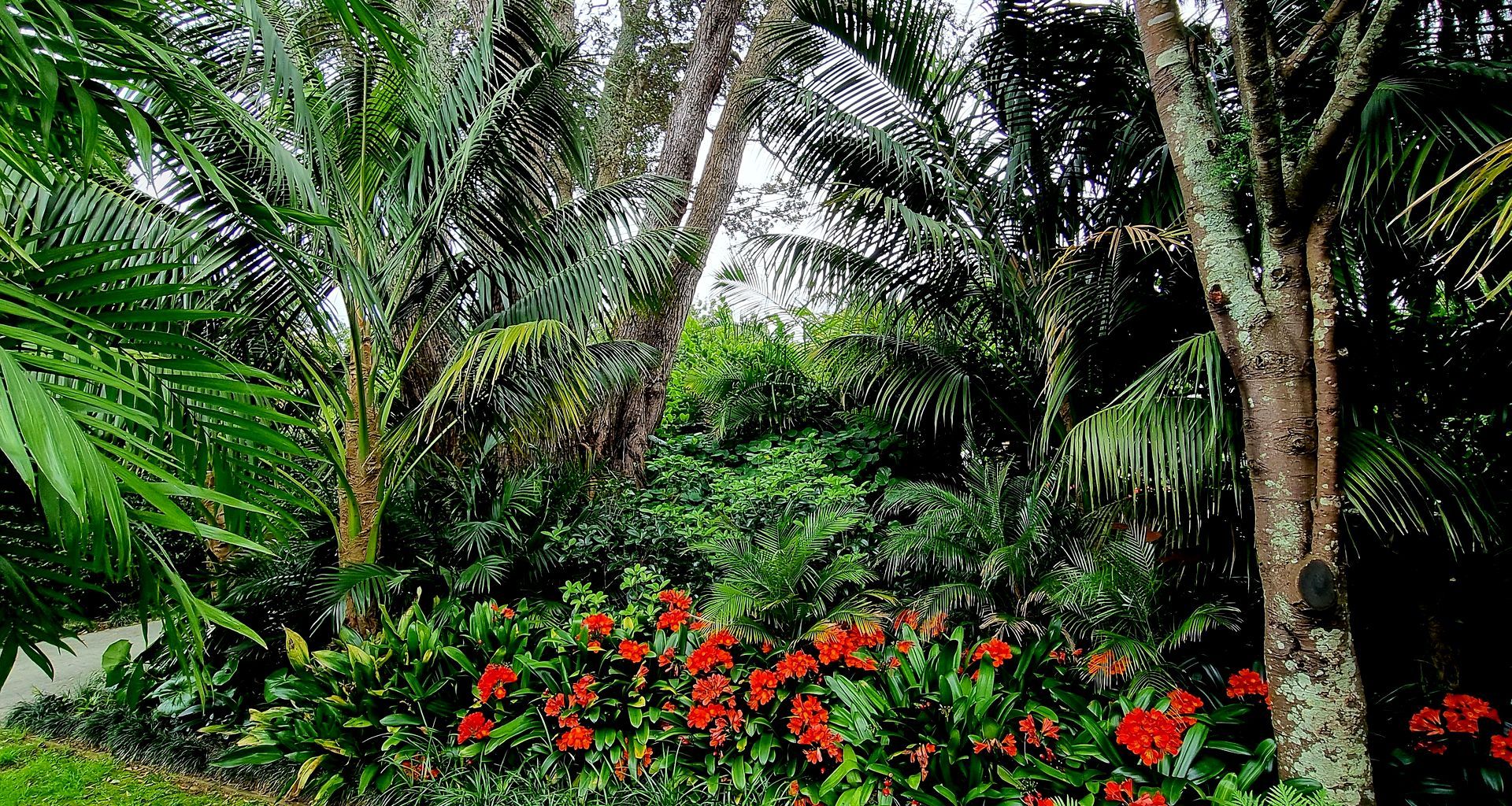 Mt Albert Garden banner