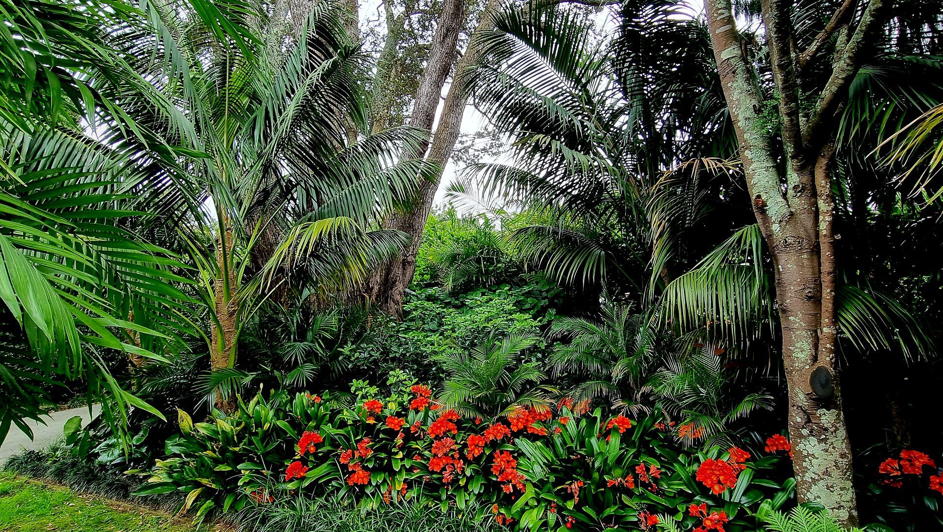 Mt Albert Garden banner