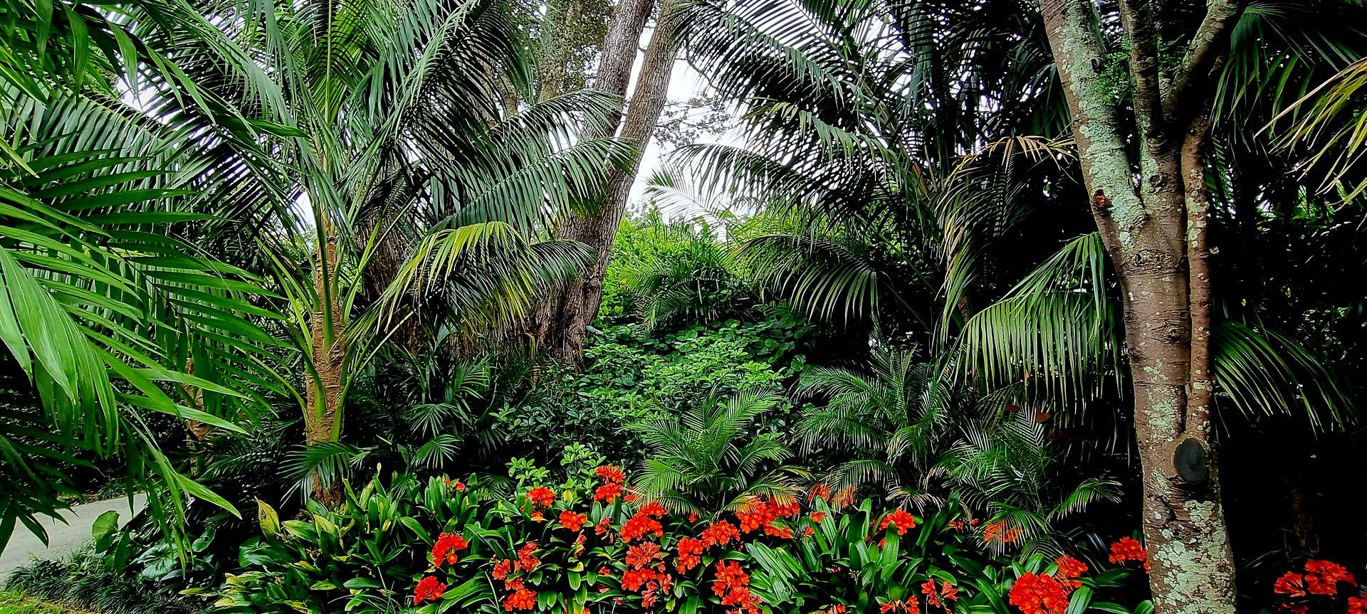 Mt Albert Garden banner