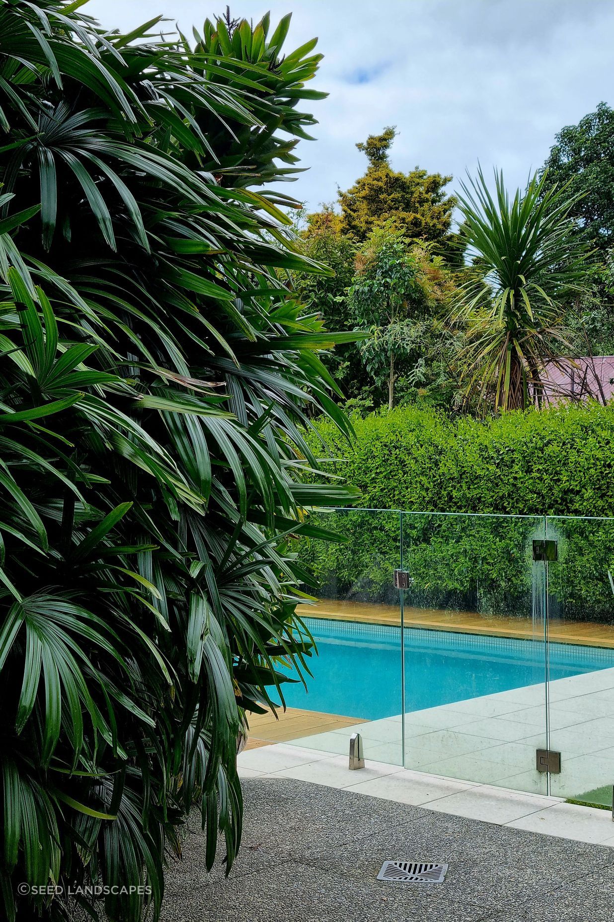 Mt Albert Garden