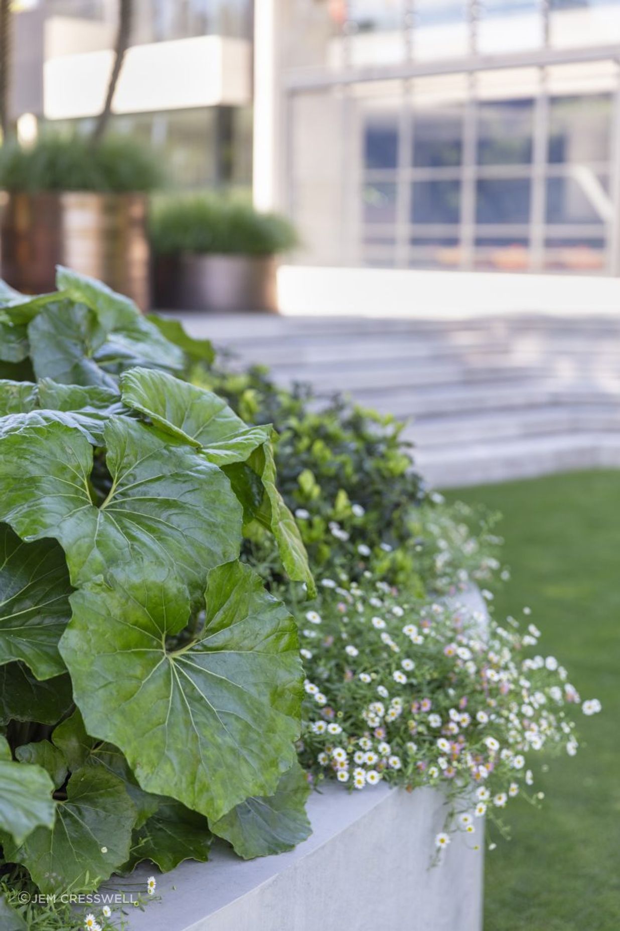 Harbourview Garden