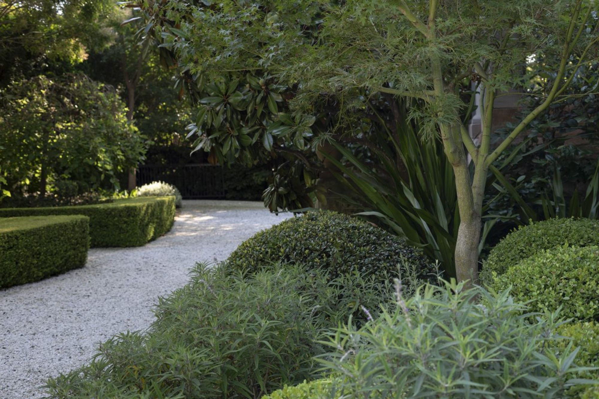 Mosman Grounds