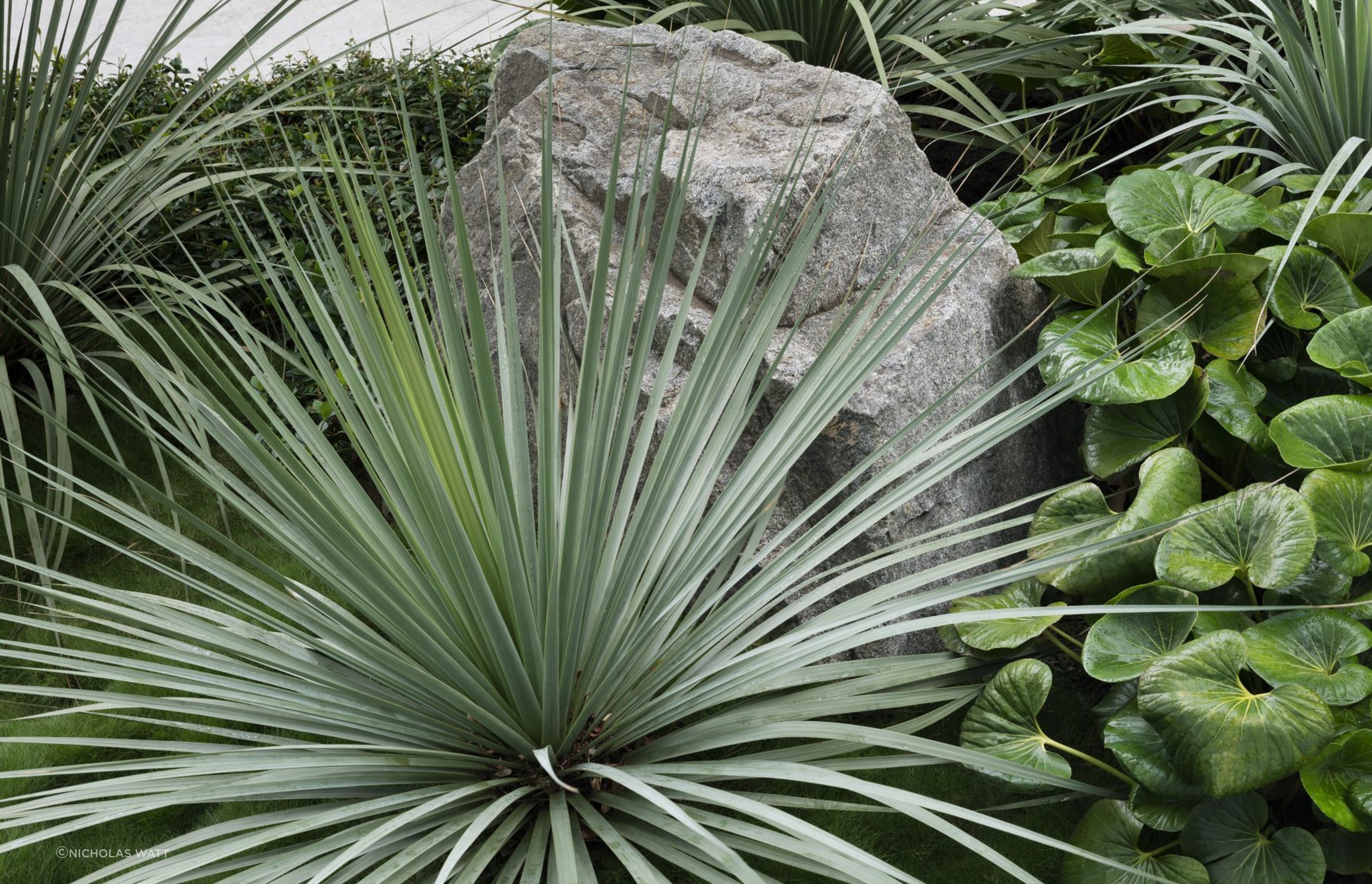Urban Jungle